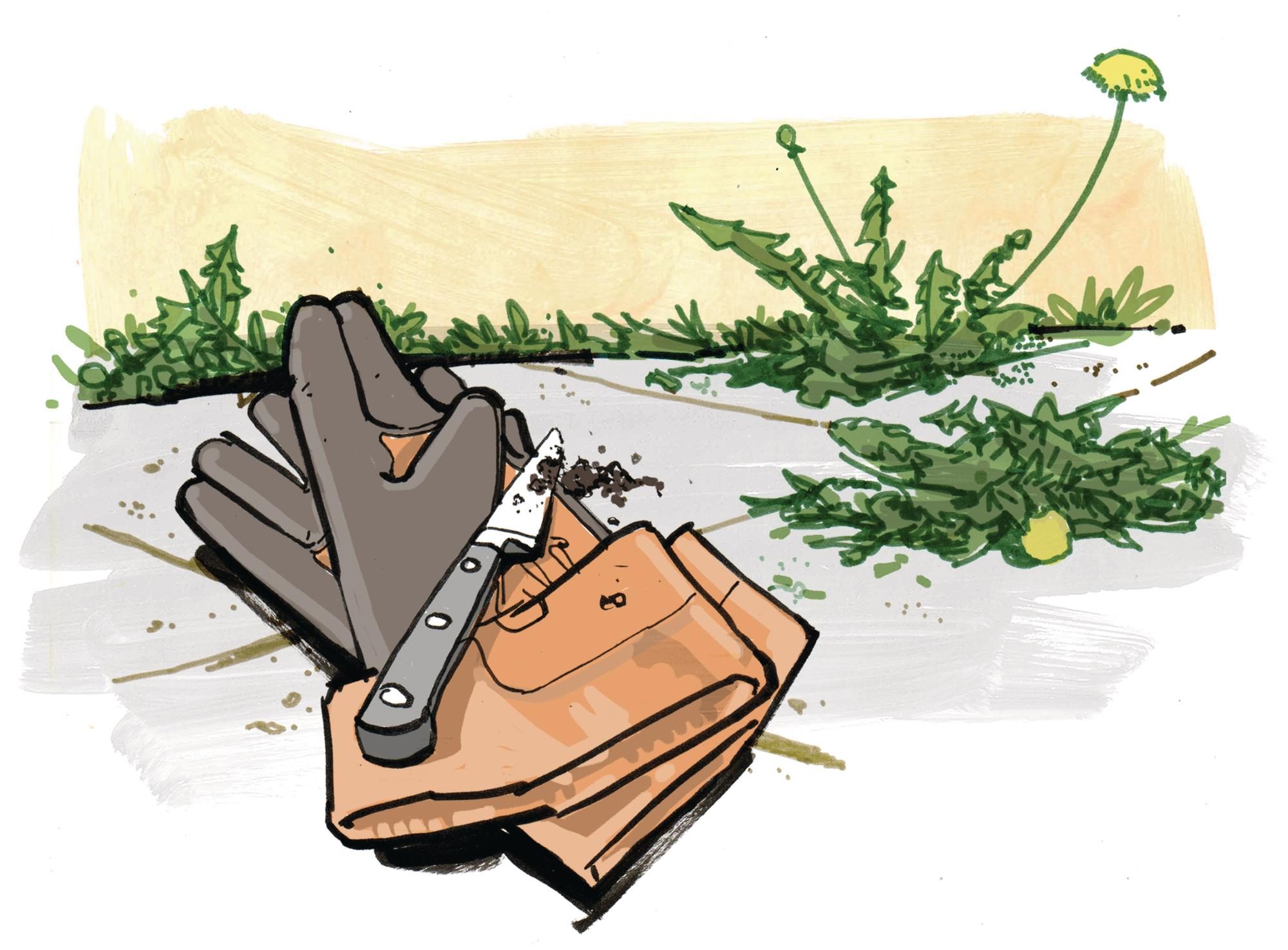 Illustration of gardening gloves and a cutting knife