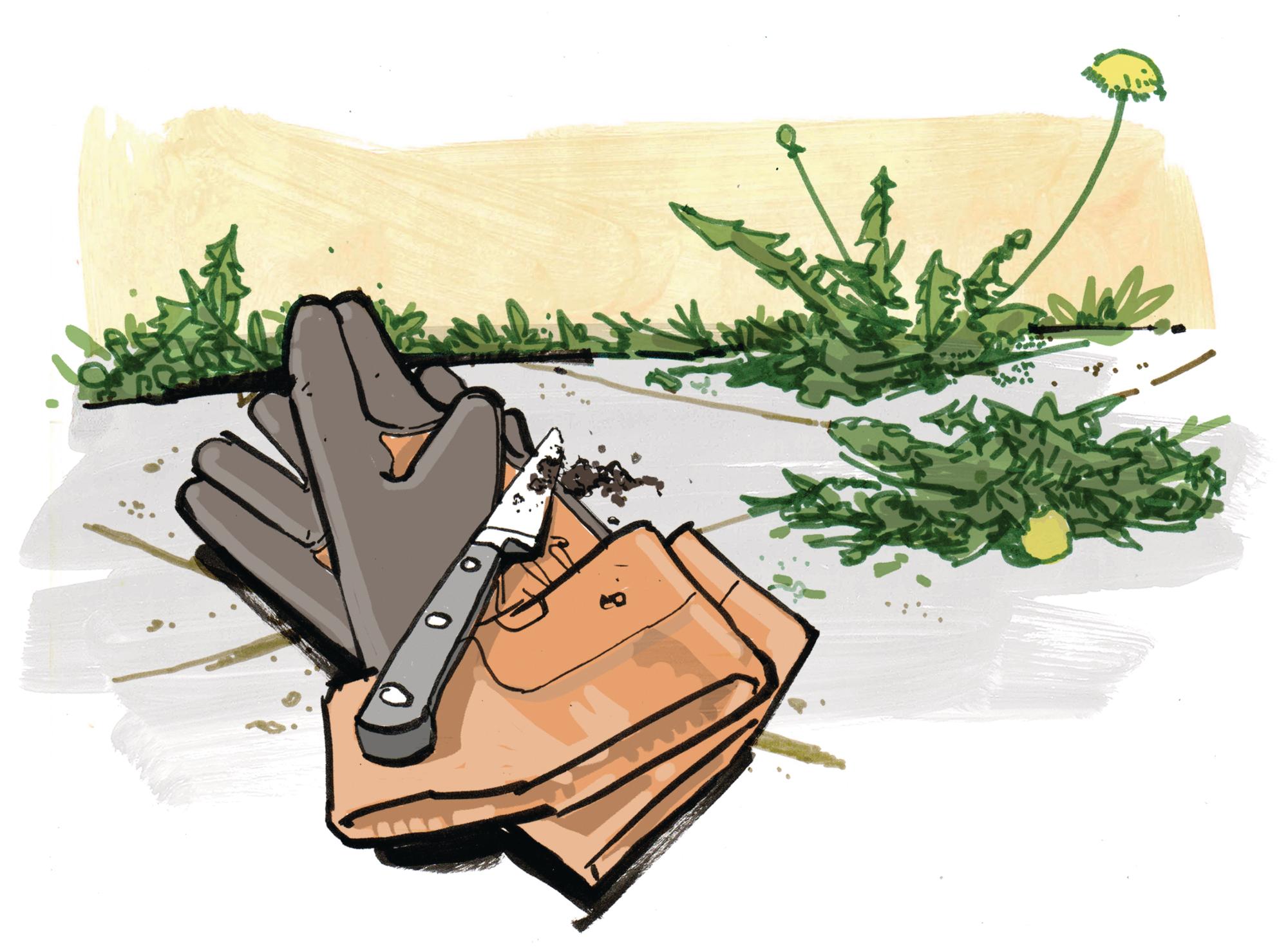 Illustration of gardening gloves and a cutting knife
