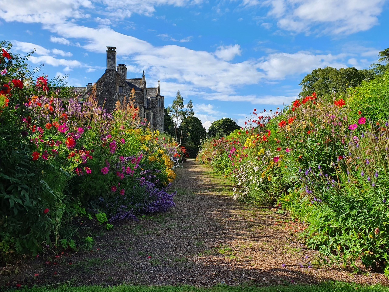 The border of Cadhay Manor in July