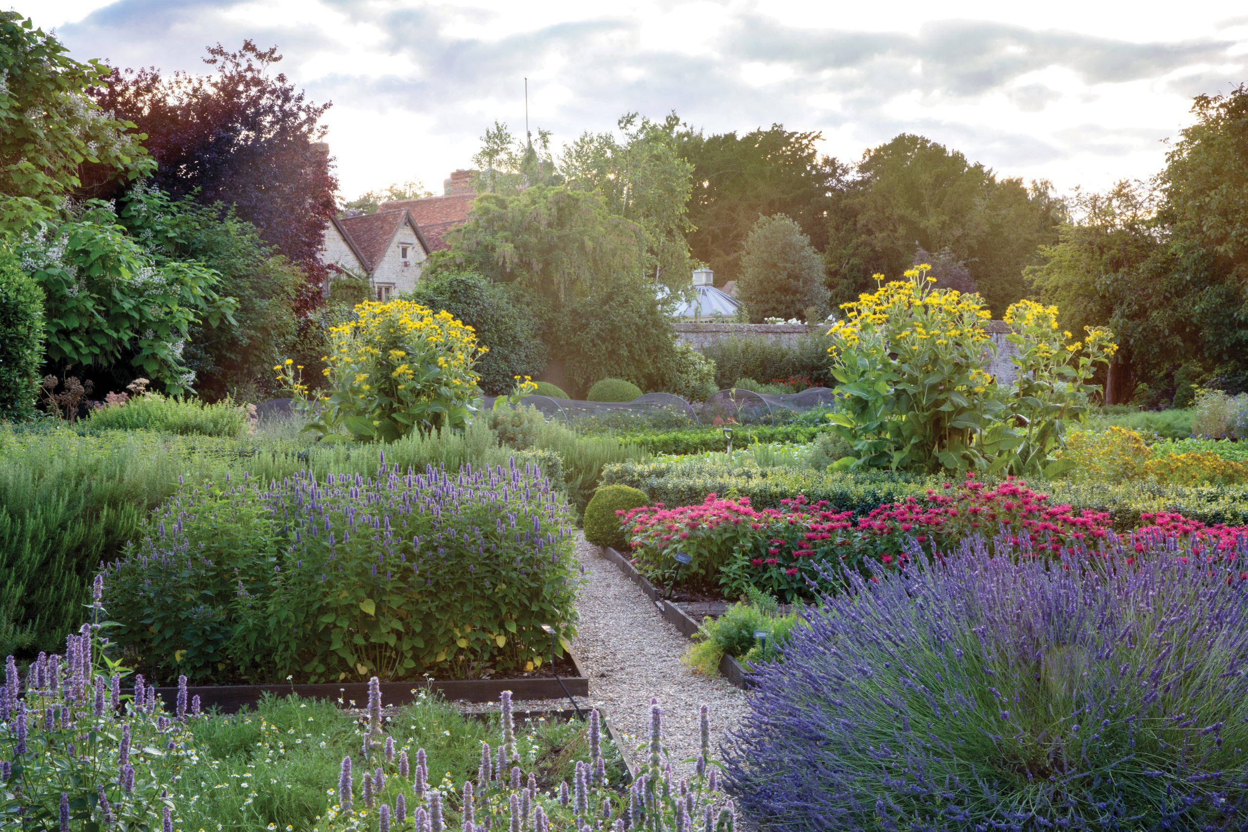 The garden at Le Manoir aux Quat’Saisons