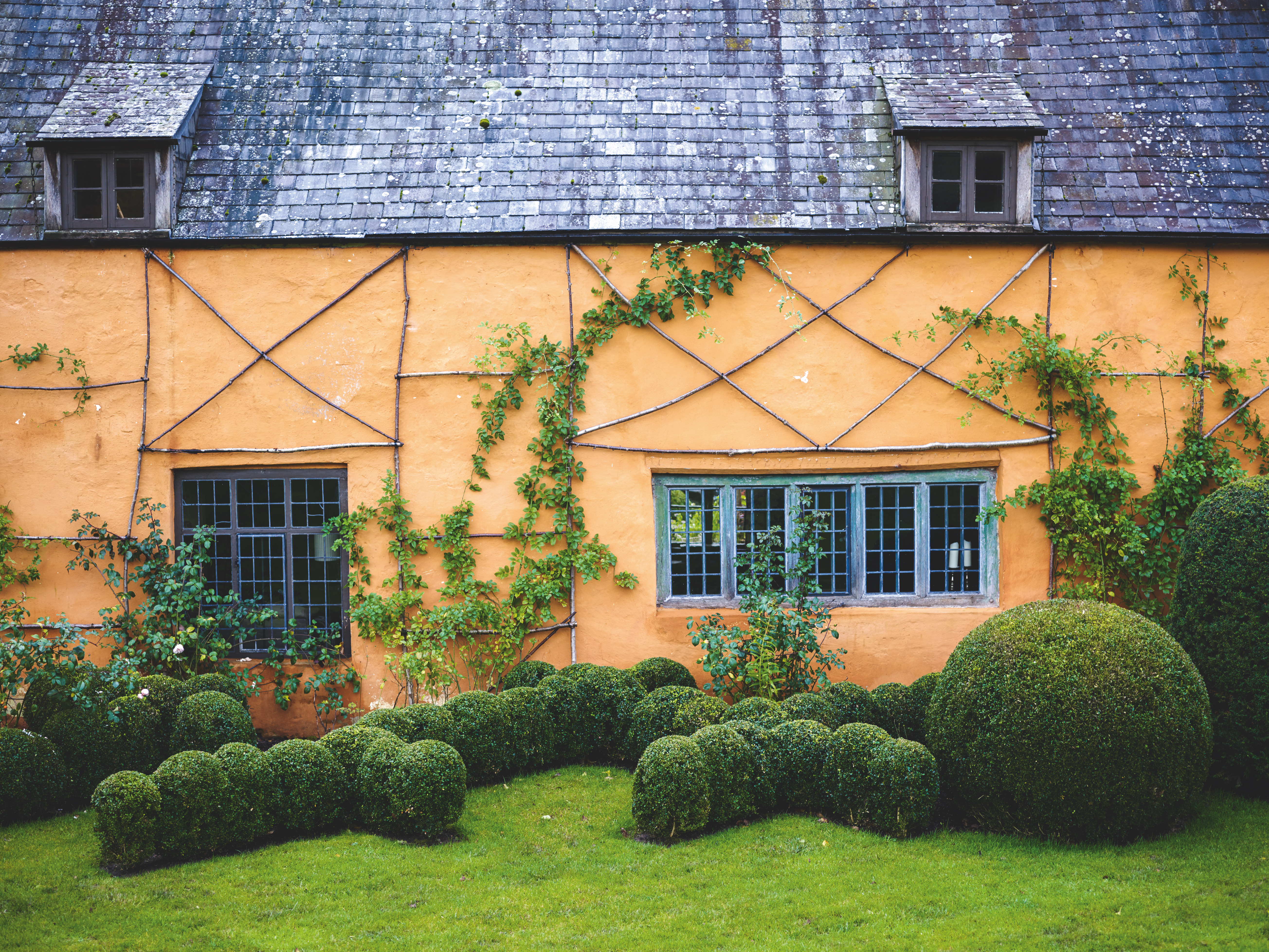 Criss Cross cut box at the back of the House
