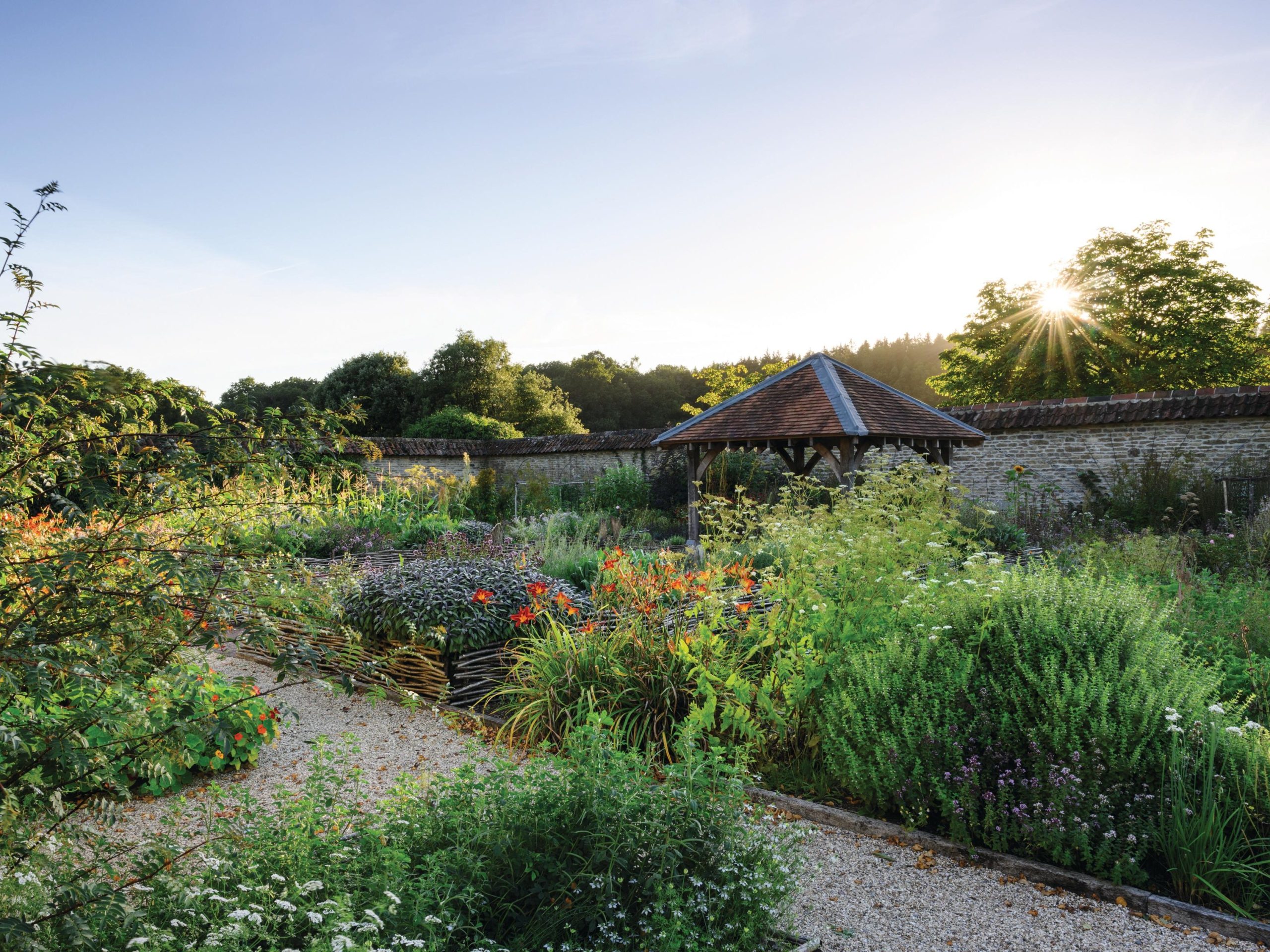 Vegetable garden