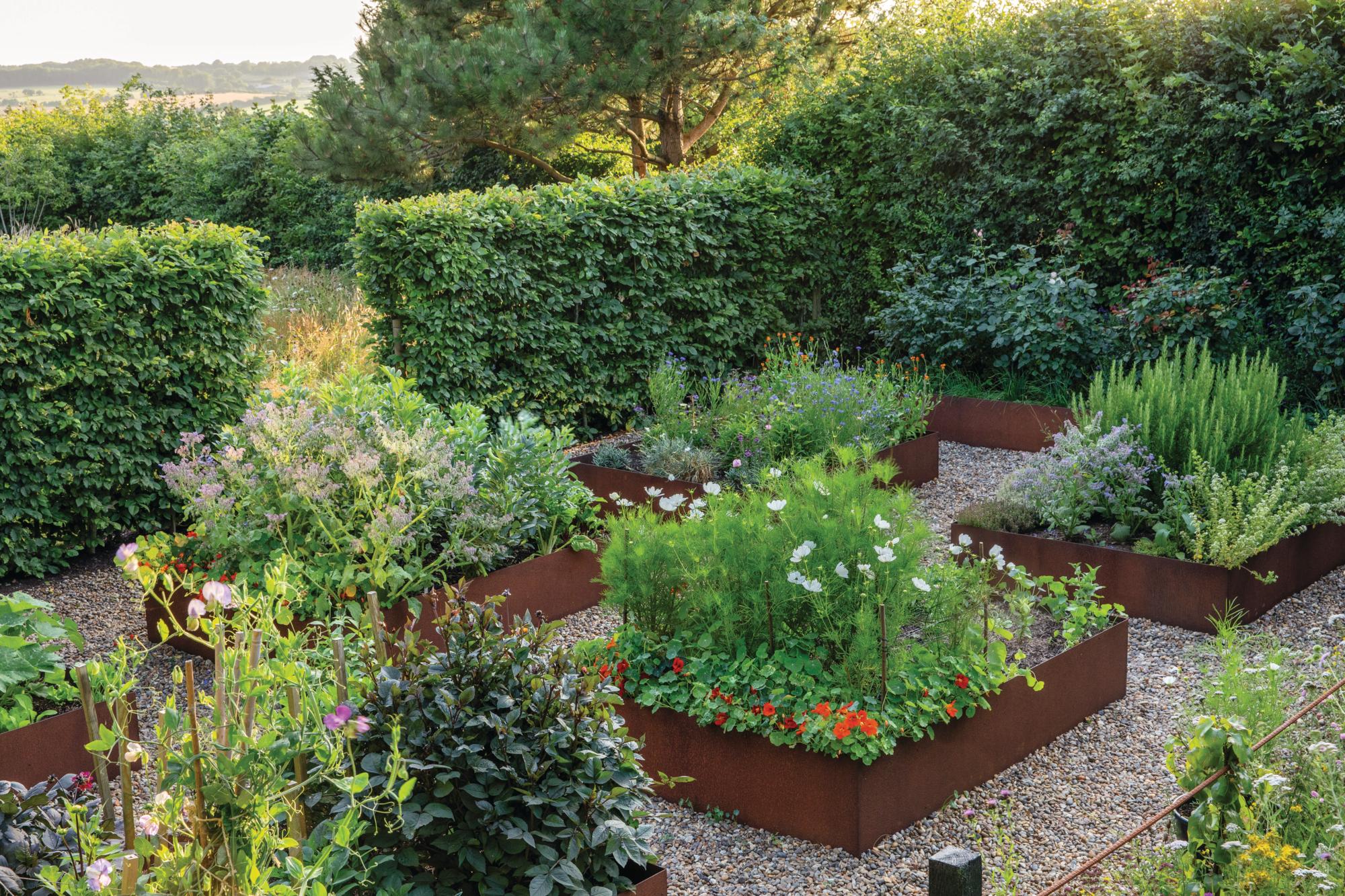 Raised corten steel flower and herb beds
