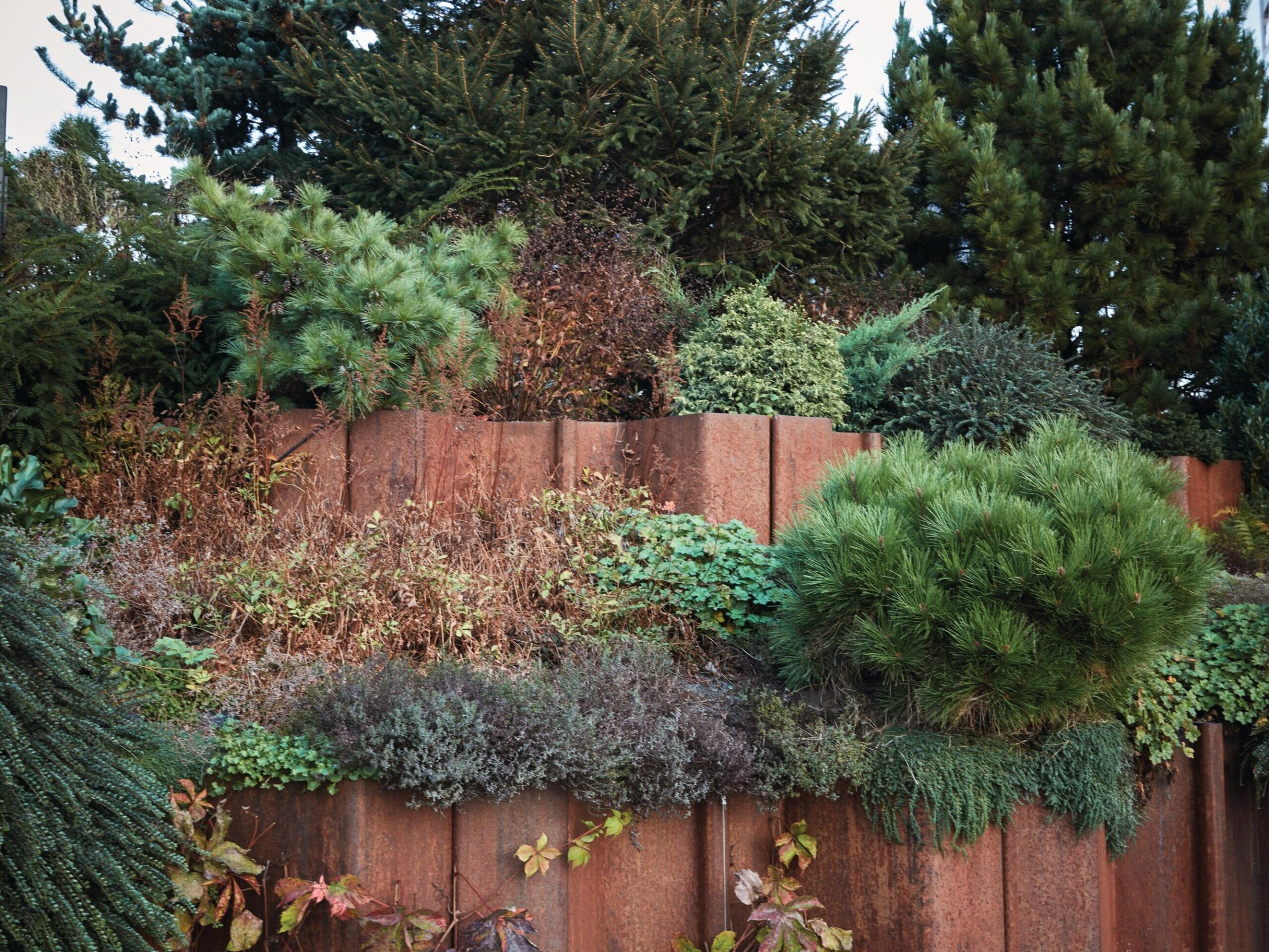 Garden walls and plants