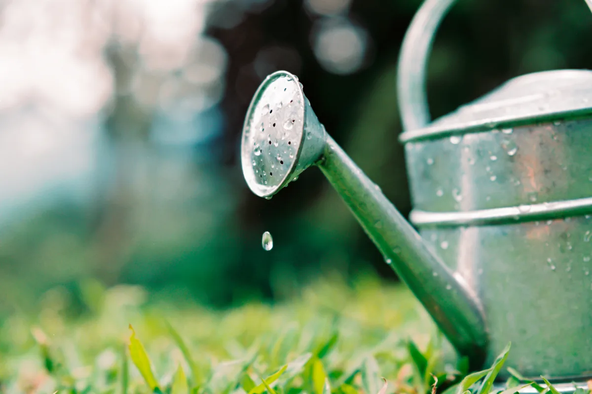 Watering can Watering can