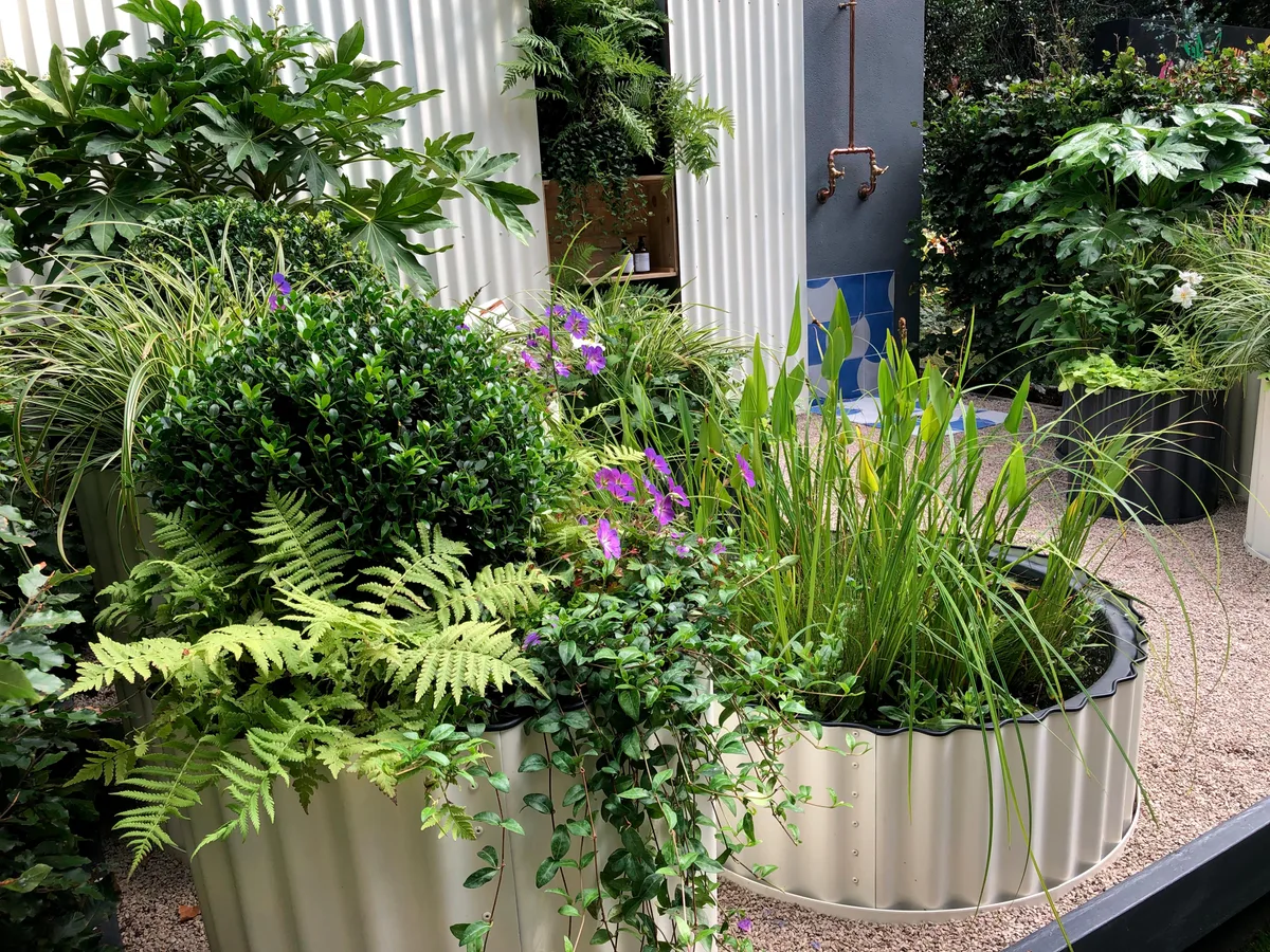 IMG_5136 The Hot Tin Roof Container Garden at Chelsea 2021