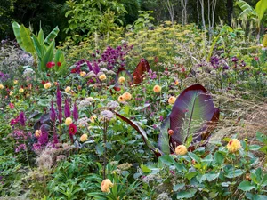 Hunting Brook Gardens Hunting Brook Gardens