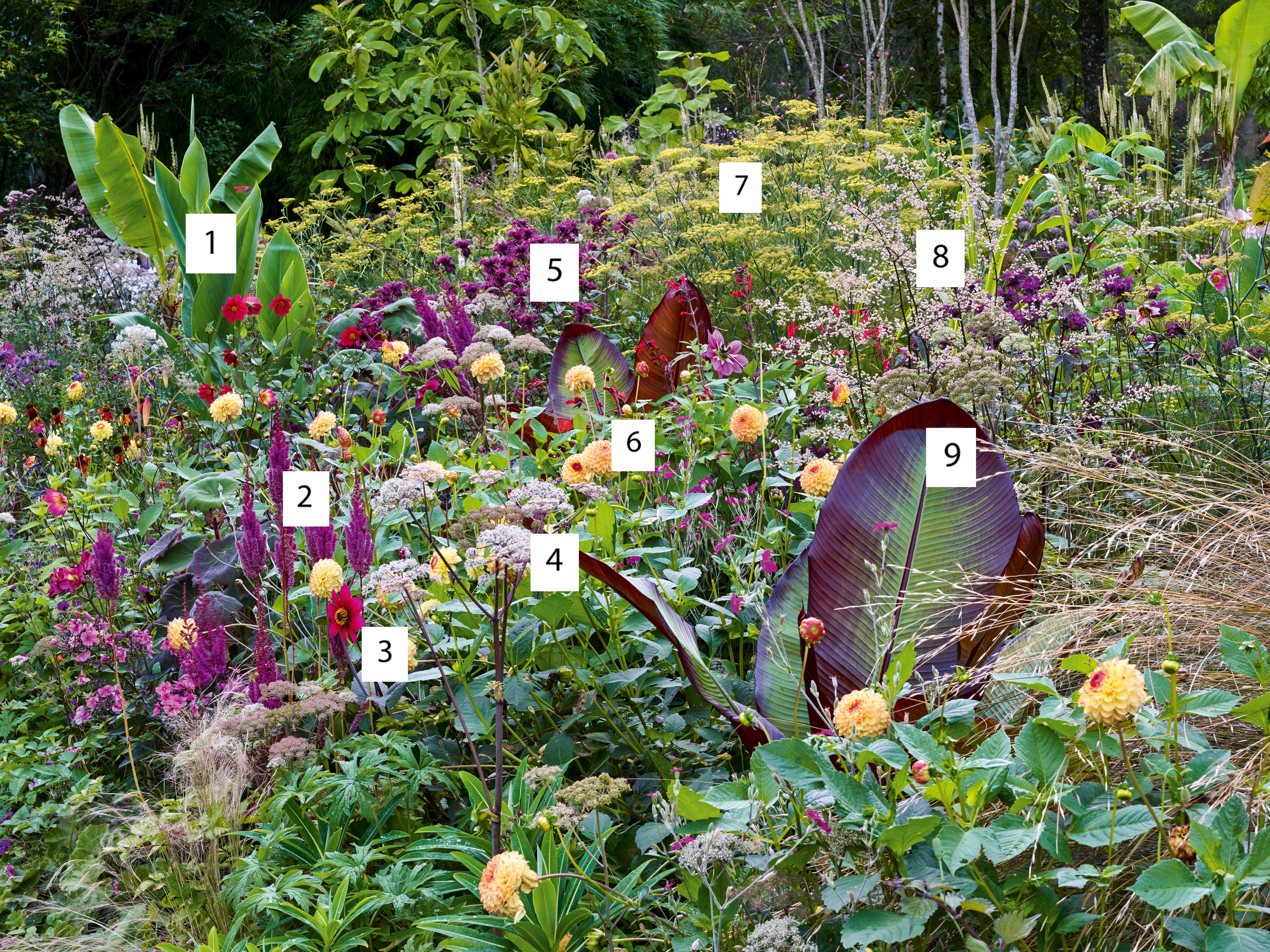 Hunting Brook Gardens