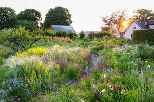Claire Takacs (#447326) Finalist in the Beautiful Gardens Category and shot for Gardens Illustrated for the June 2023 issue - Klinta, Peter Korn's Home Garden - © Claire Takacs