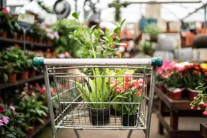 Shopping cart with plants at a garden center © Getty / FG Trade