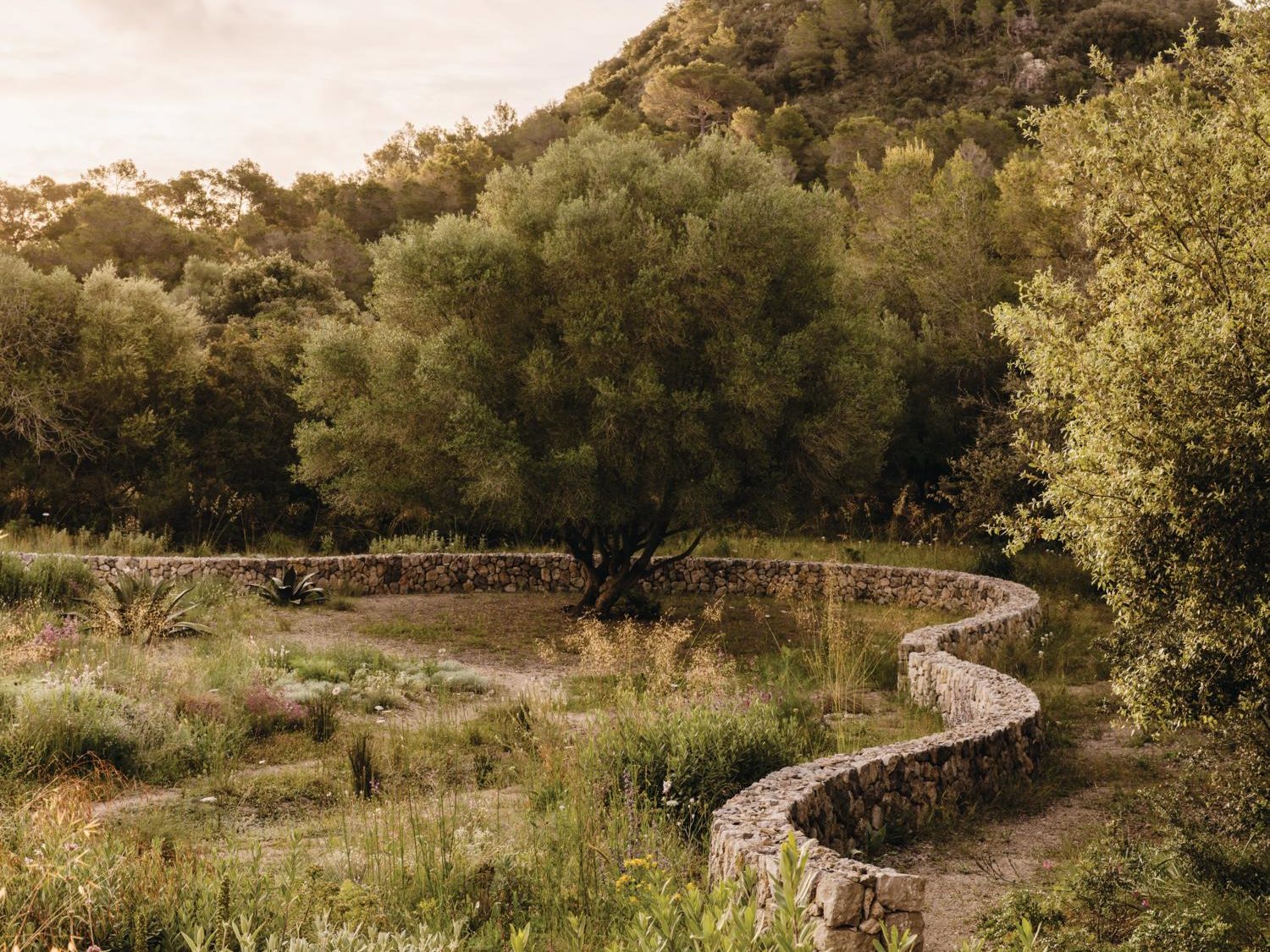 Luciano Giubbilei’s Mallorcan garden, The Field
