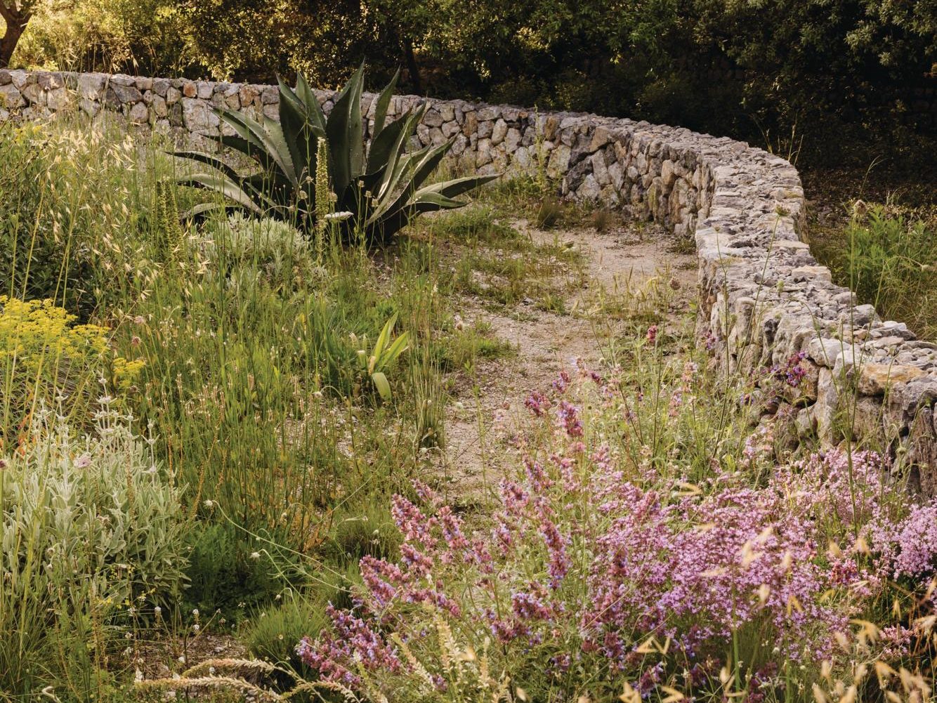 Luciano Giubbilei’s Mallorcan garden, The Field