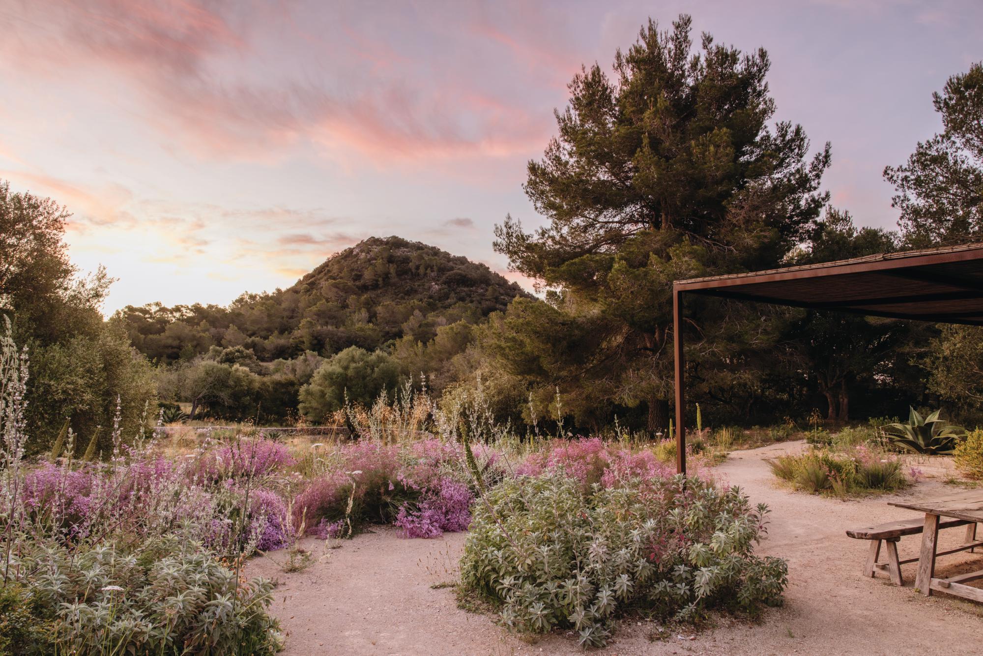 Luciano Giubbilei’s Mallorcan garden, The Field