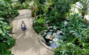 RHS Garden Wisley tropical zone RHS Garden Wisley tropical zone