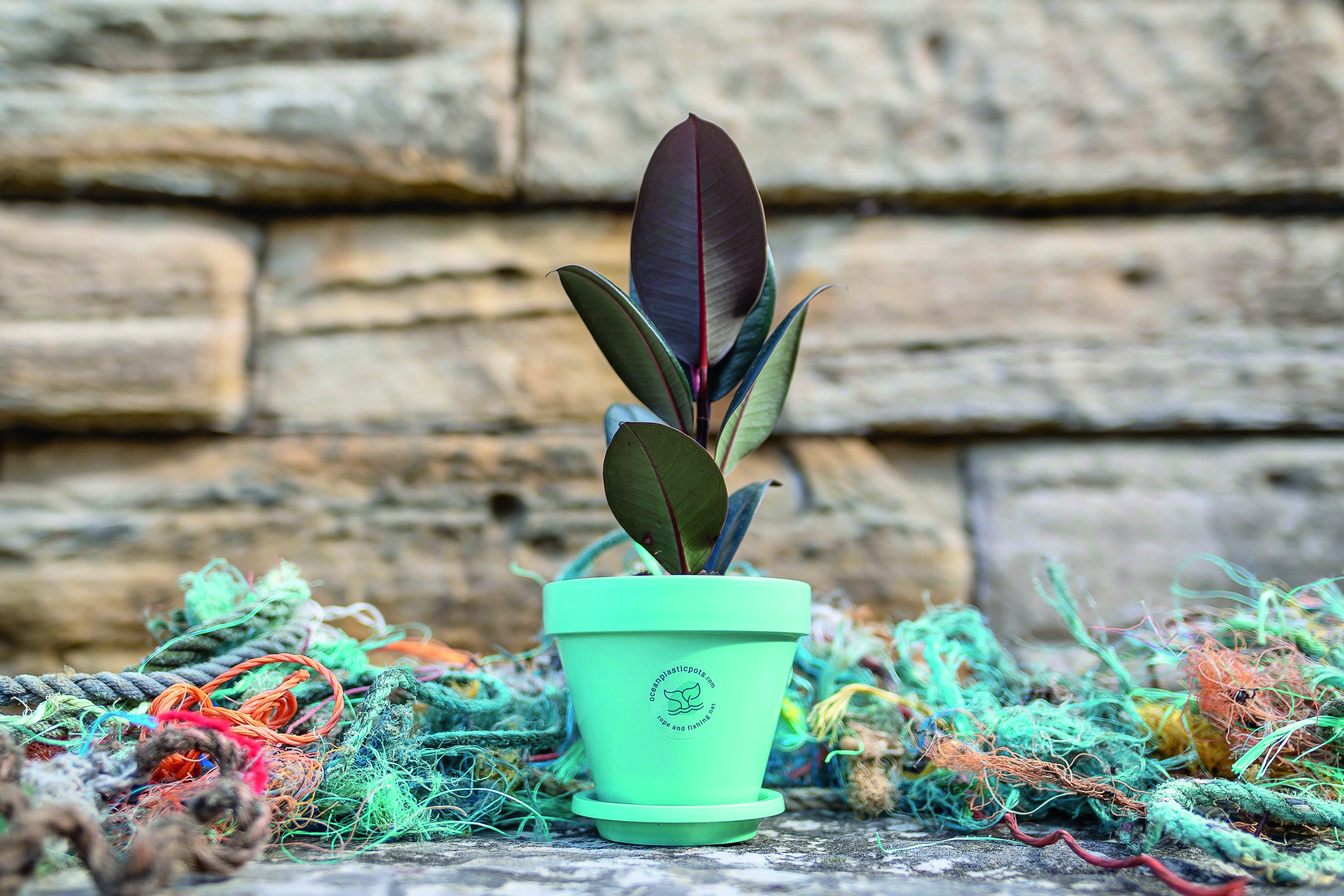 OceanPots