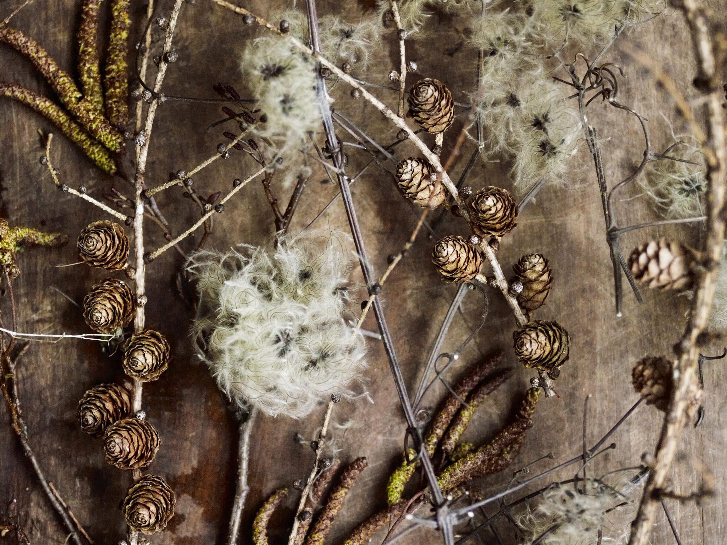 Materials needed for a bird's nest wreath