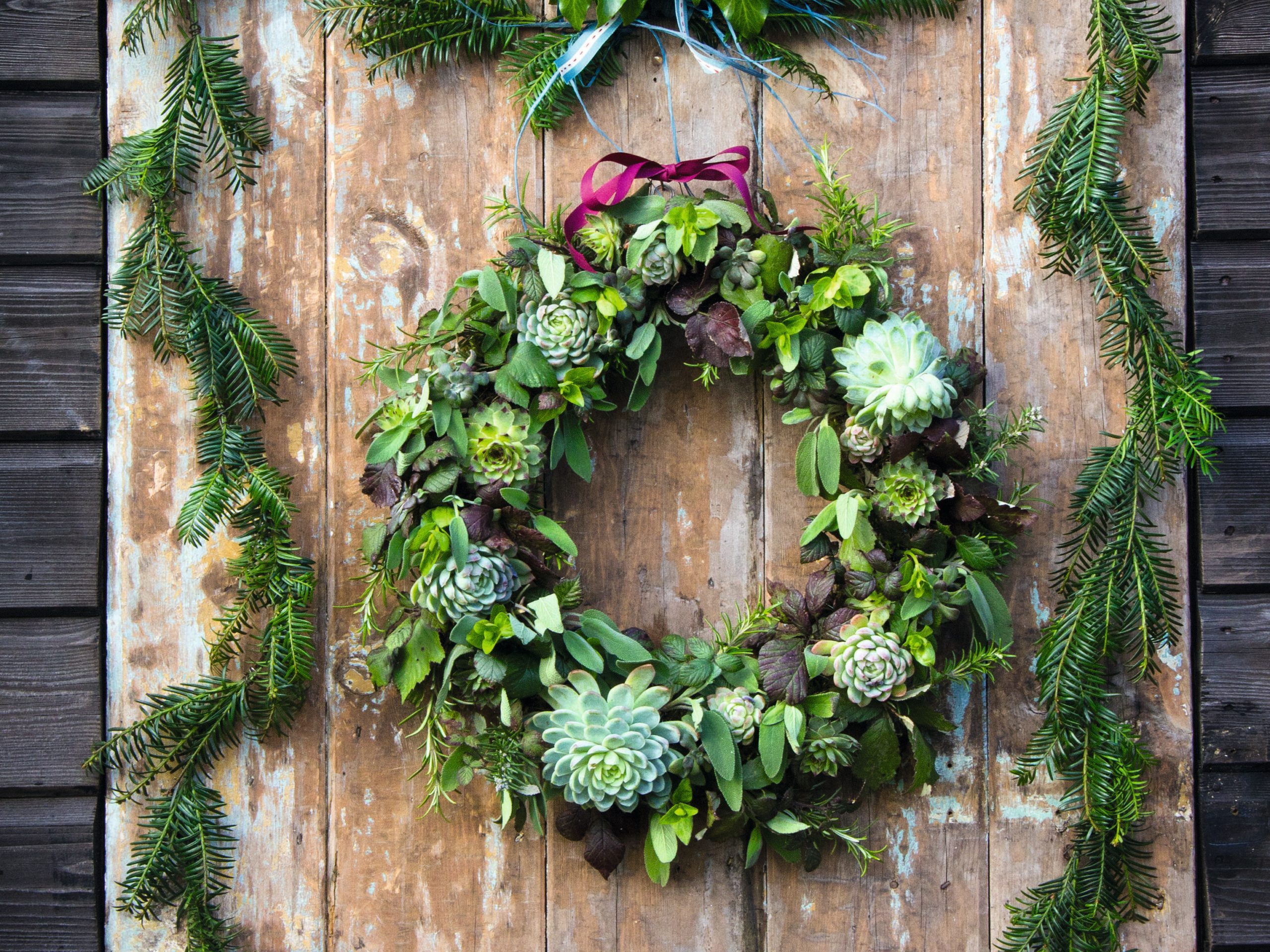 Beautiful fern and succulent ivy wreath