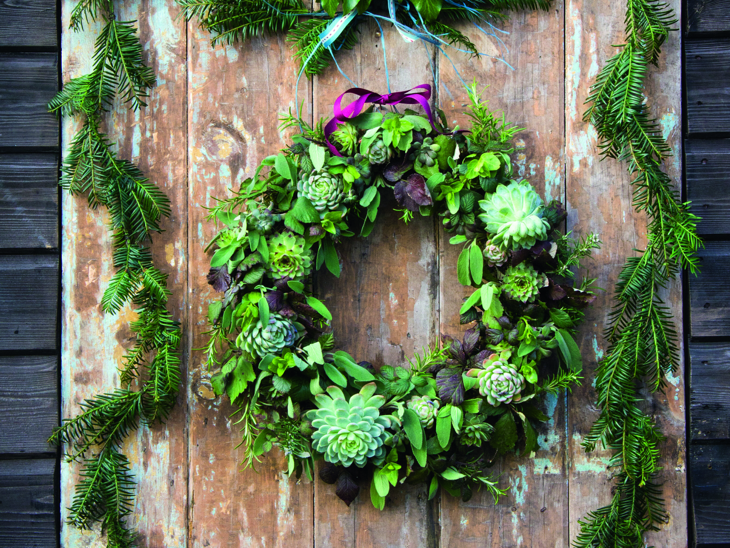Beautiful fern and succulent ivy wreath