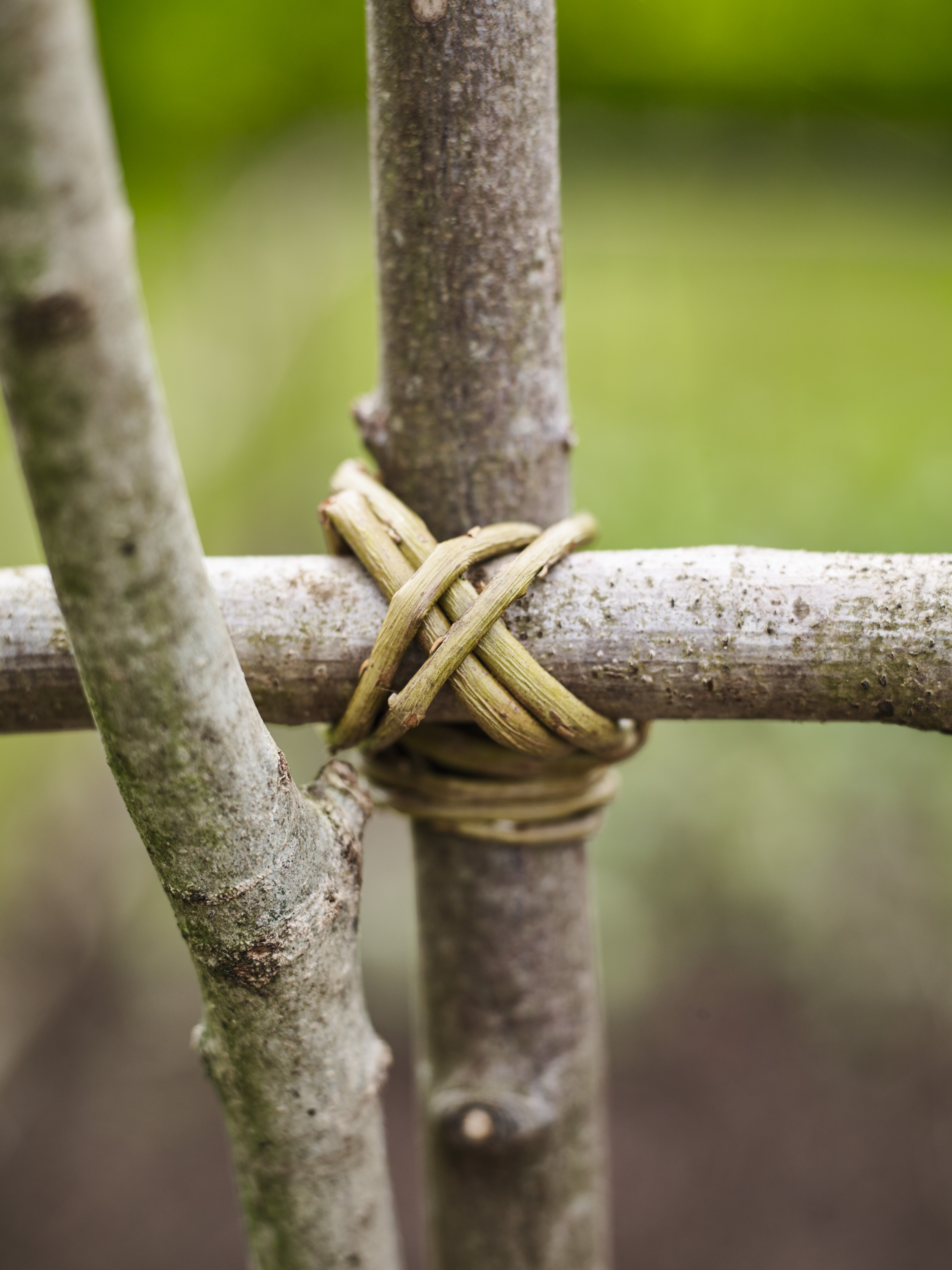 Plant support