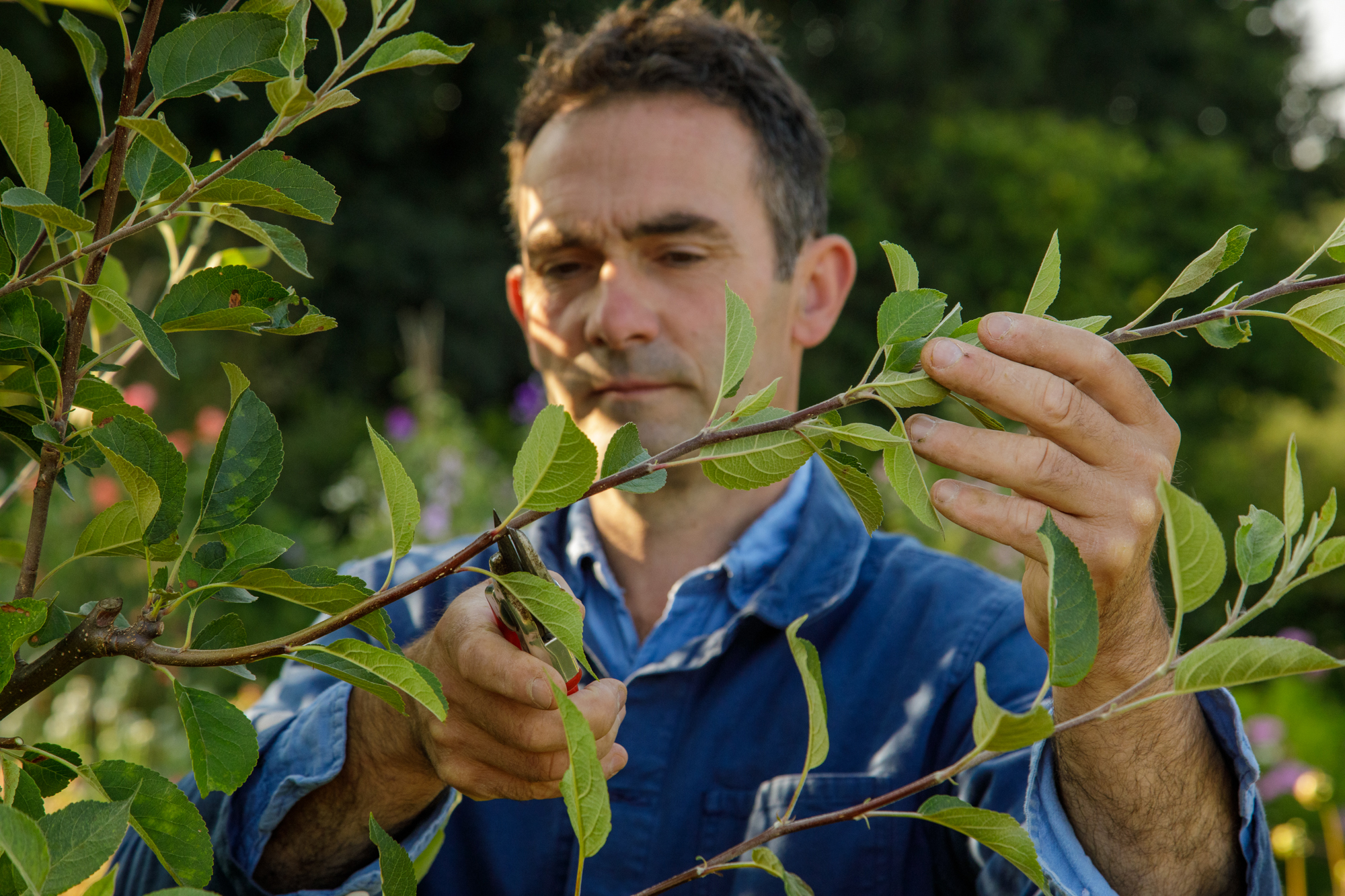 Man gardening at Sissinghurst