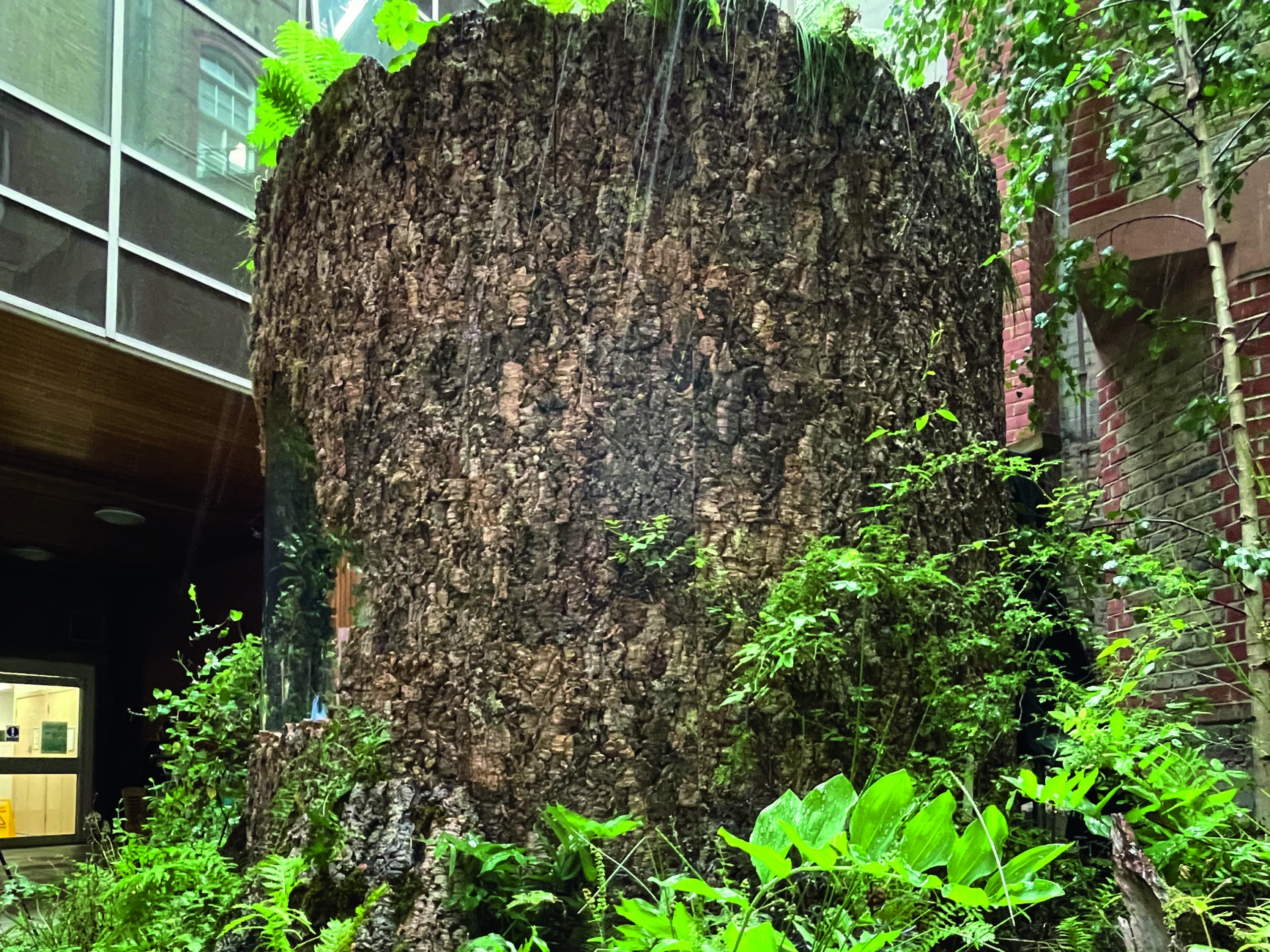 it took just six weeks to relocate Taina Suonio’s 2022 sanctuary garden Connected to University College London Hospital, where its larger-than-life oak tree stump provides a serene seating area for patients and staff
