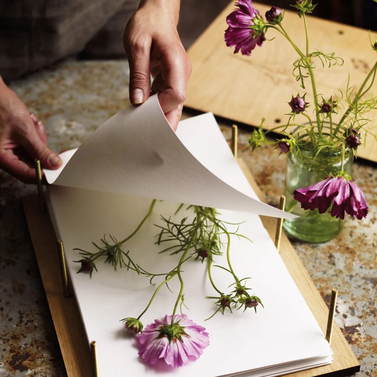 Pressing flowers