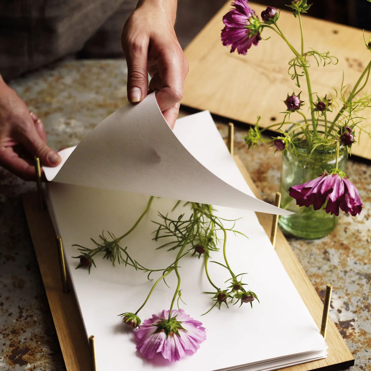 Pressing flowers