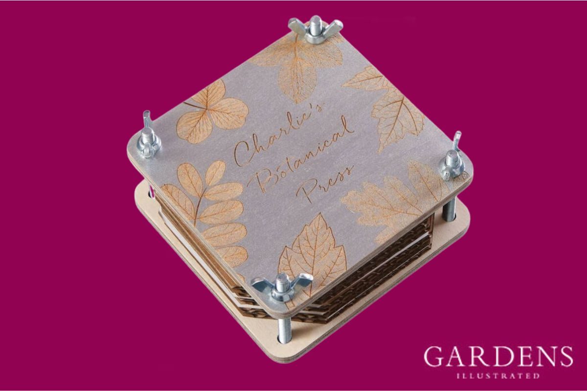 Bombus Personalised Handpainted Silver Flower Press on a pink background