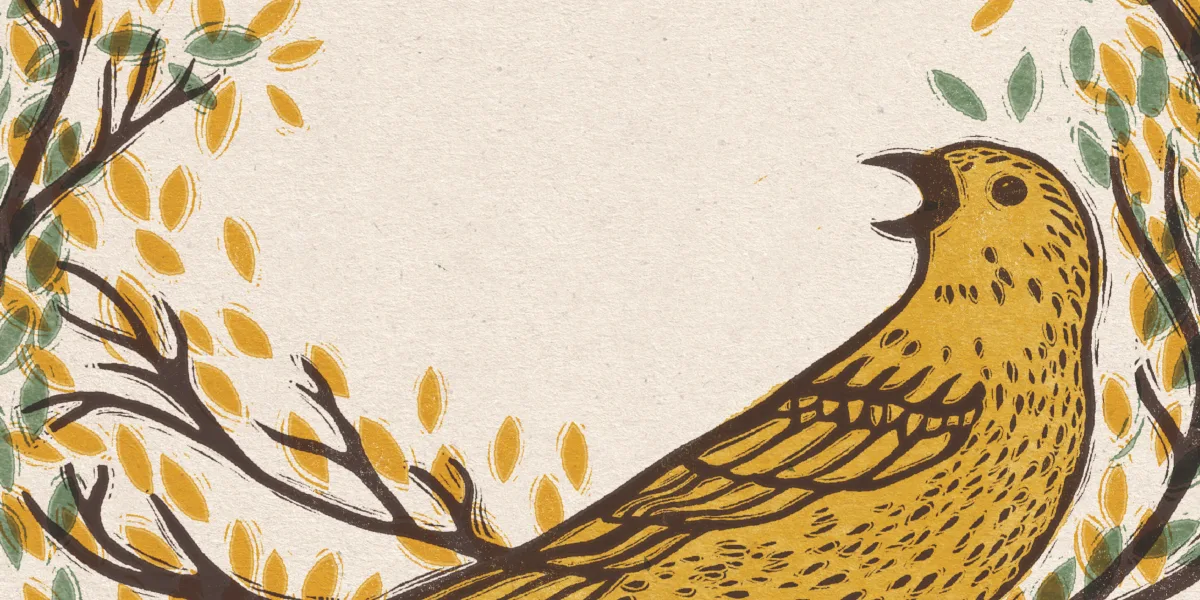 Yellow bird illustration ©Rosanna Morris Yellow bird illustration