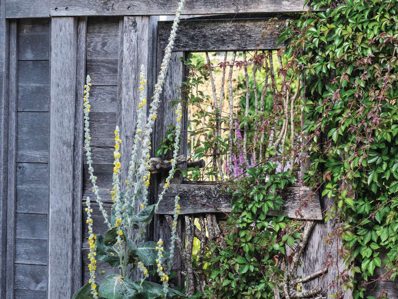 Garden gate at Brook Meadow