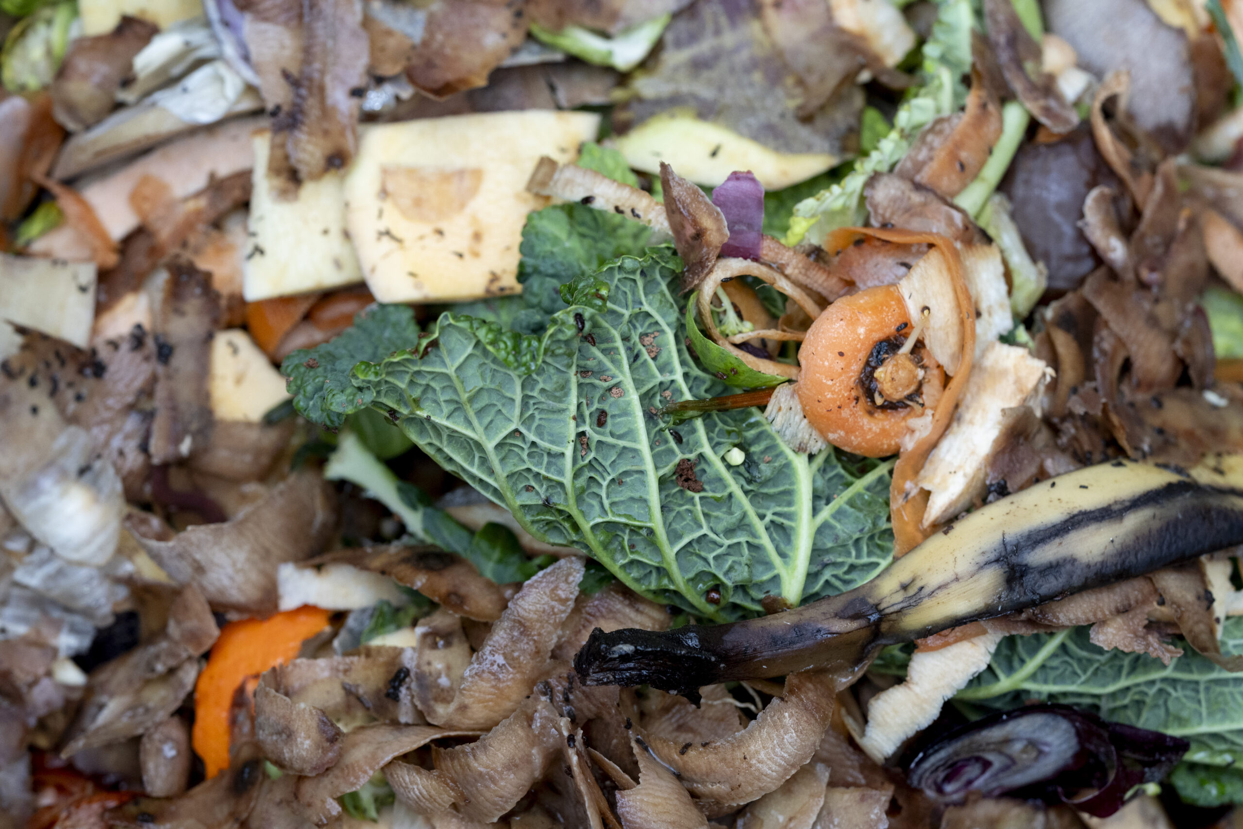 Composting veg