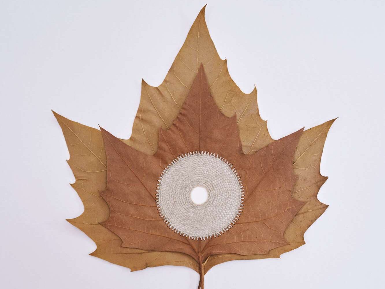 Crochet on leaves