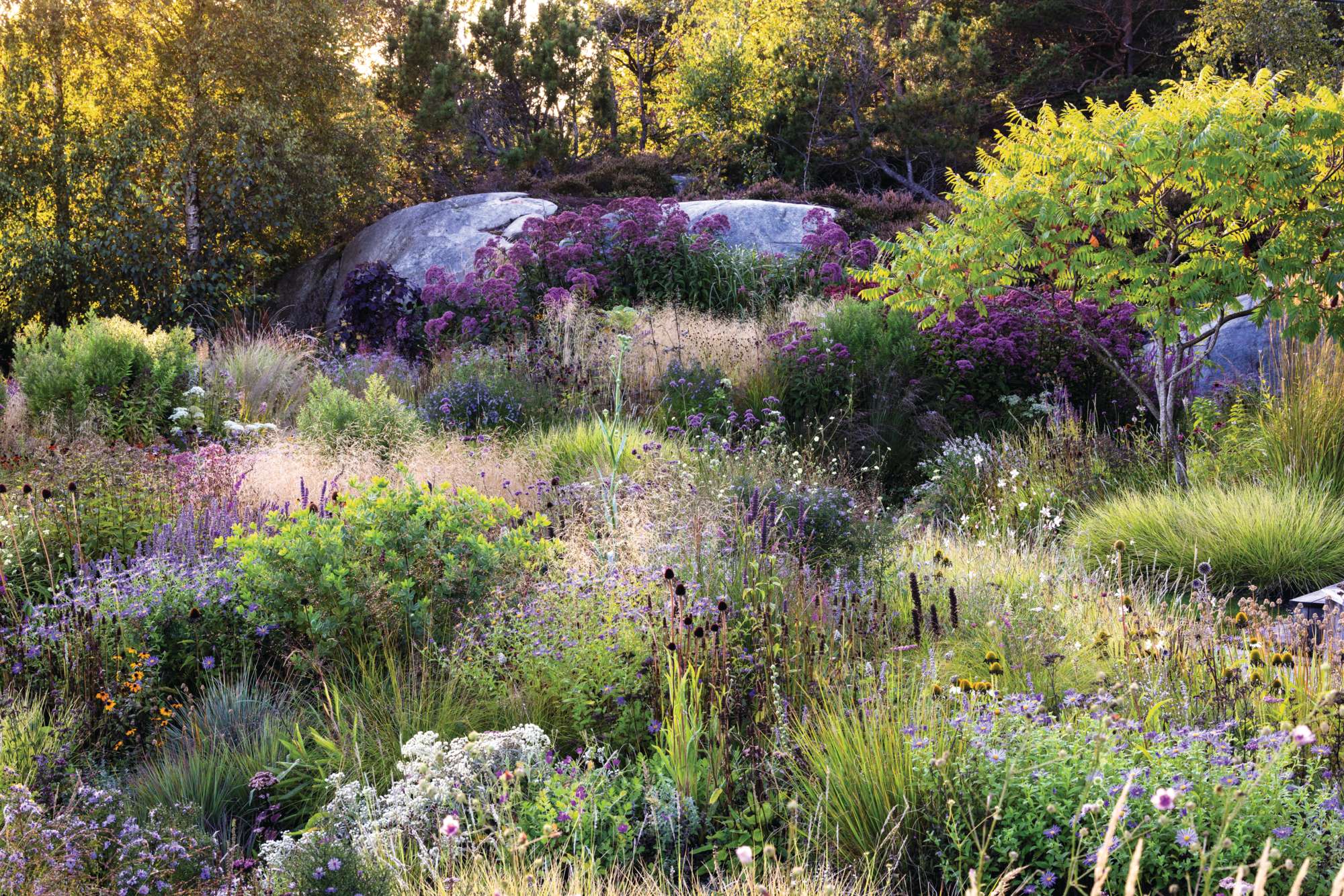 Norwegian garden