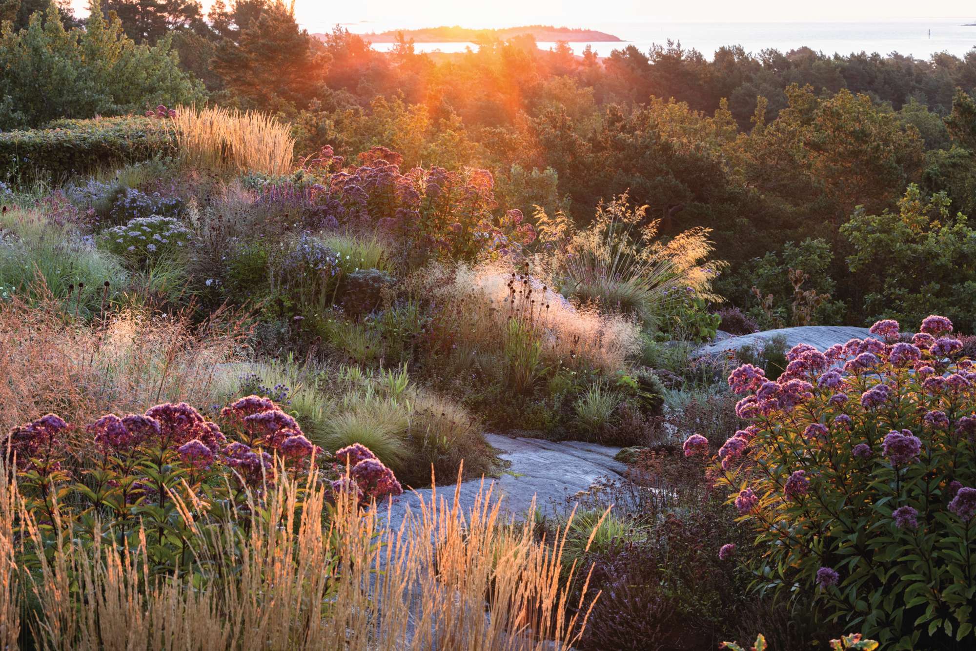Norwegian garden