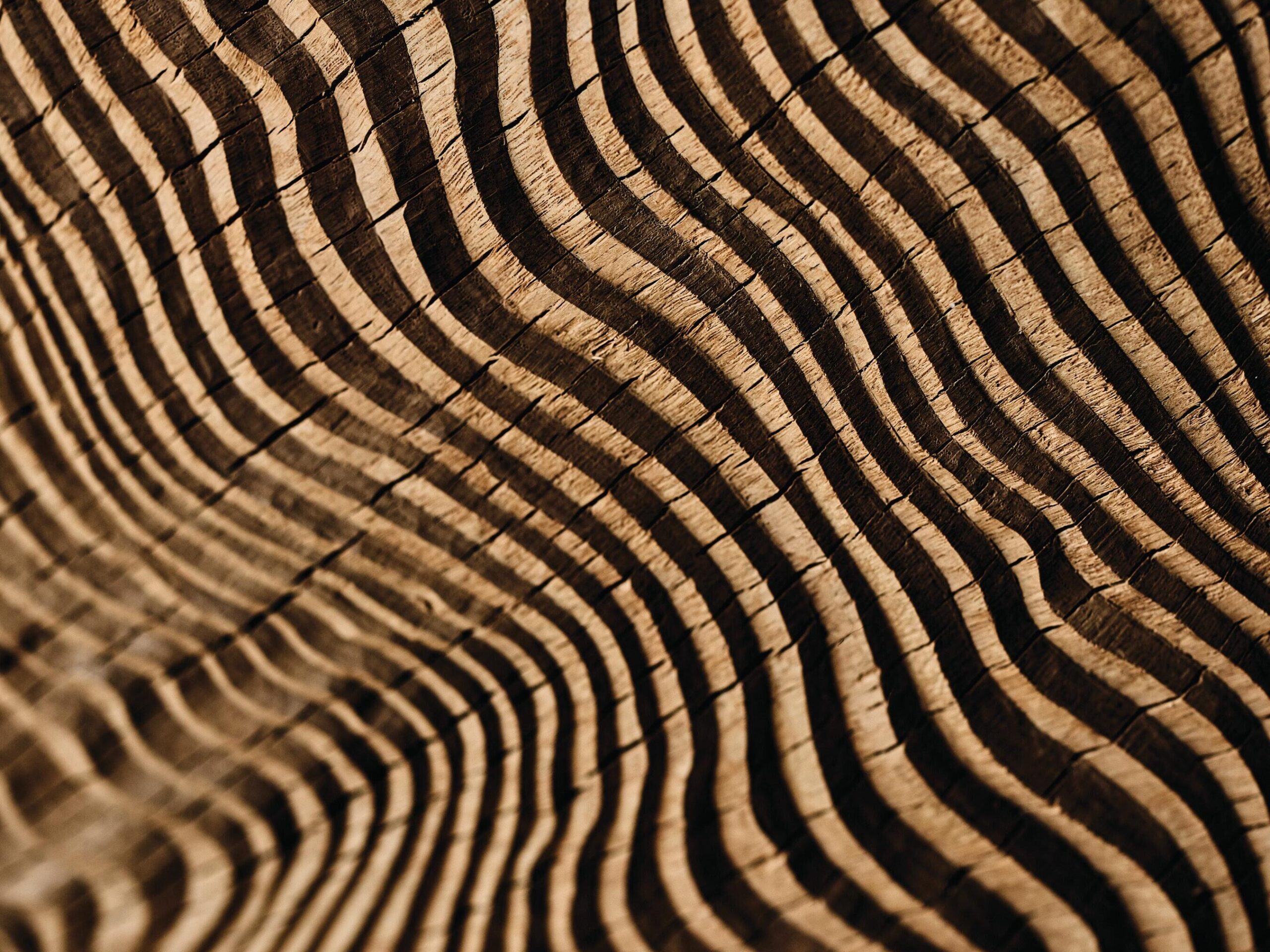 Timber lines