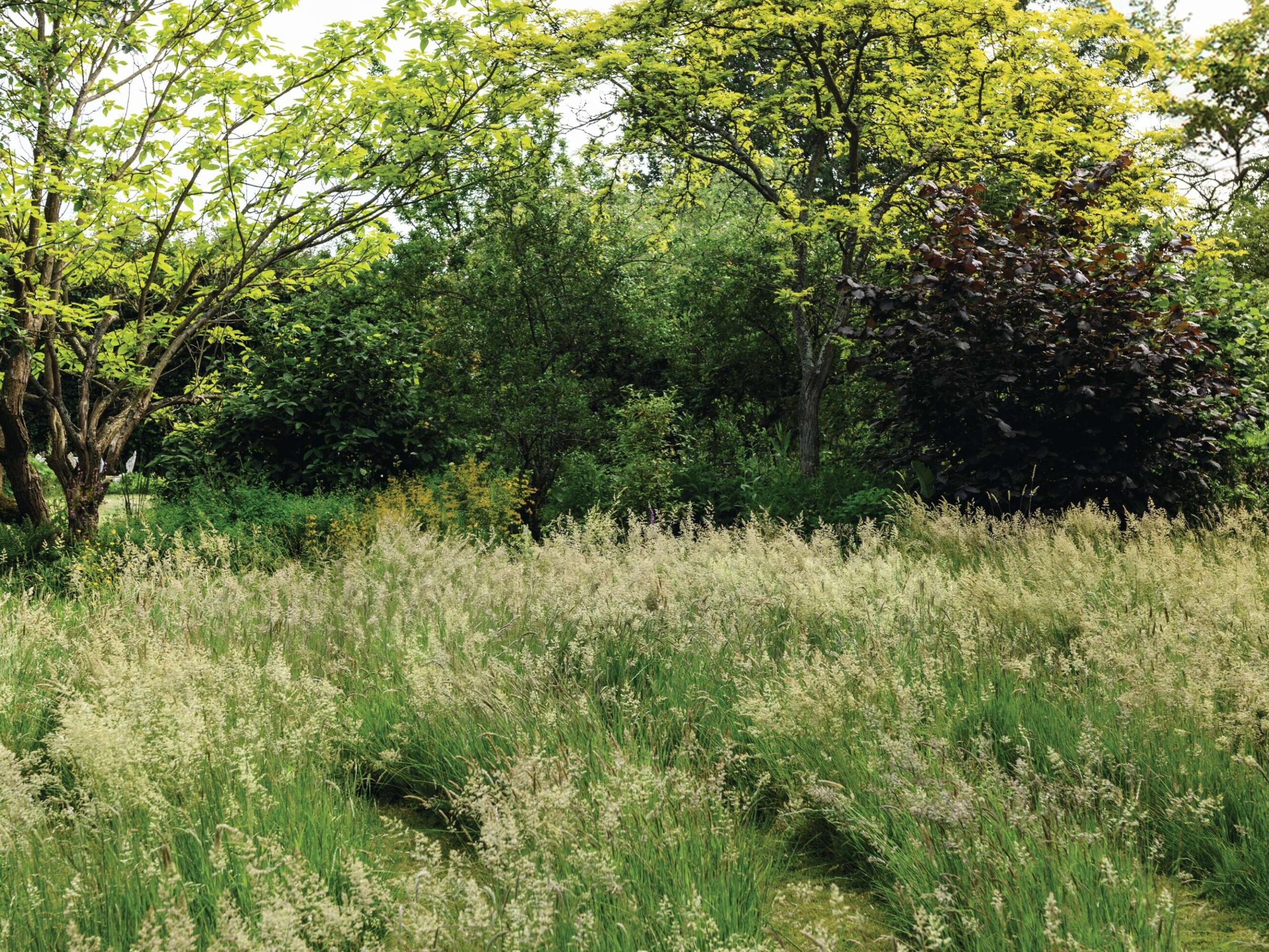 Biodiversity in the garden
