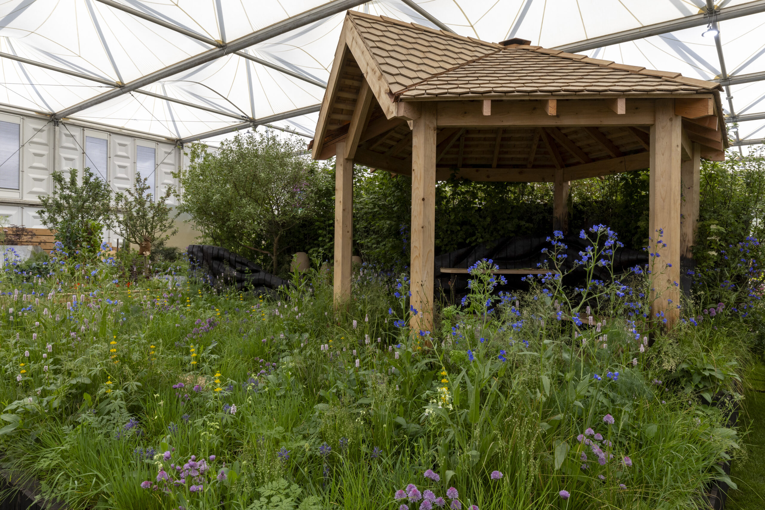 Bowel Research UK Microbiome Garden at RHS Chelsea Flower Show 2024. Designed by Chris Hull and Sid Hill. Sponsored by Project Giving Back. All About Plants.