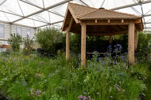 Bowel Research UK Microbiome Garden at RHS Chelsea Flower Show 2024. Designed by Chris Hull and Sid Hill. Sponsored by Project Giving Back. All About Plants. Bowel Research UK Microbiome Garden at RHS Chelsea Flower Show 2024. Designed by Chris Hull and Sid Hill. Sponsored by Project Giving Back. All About Plants.