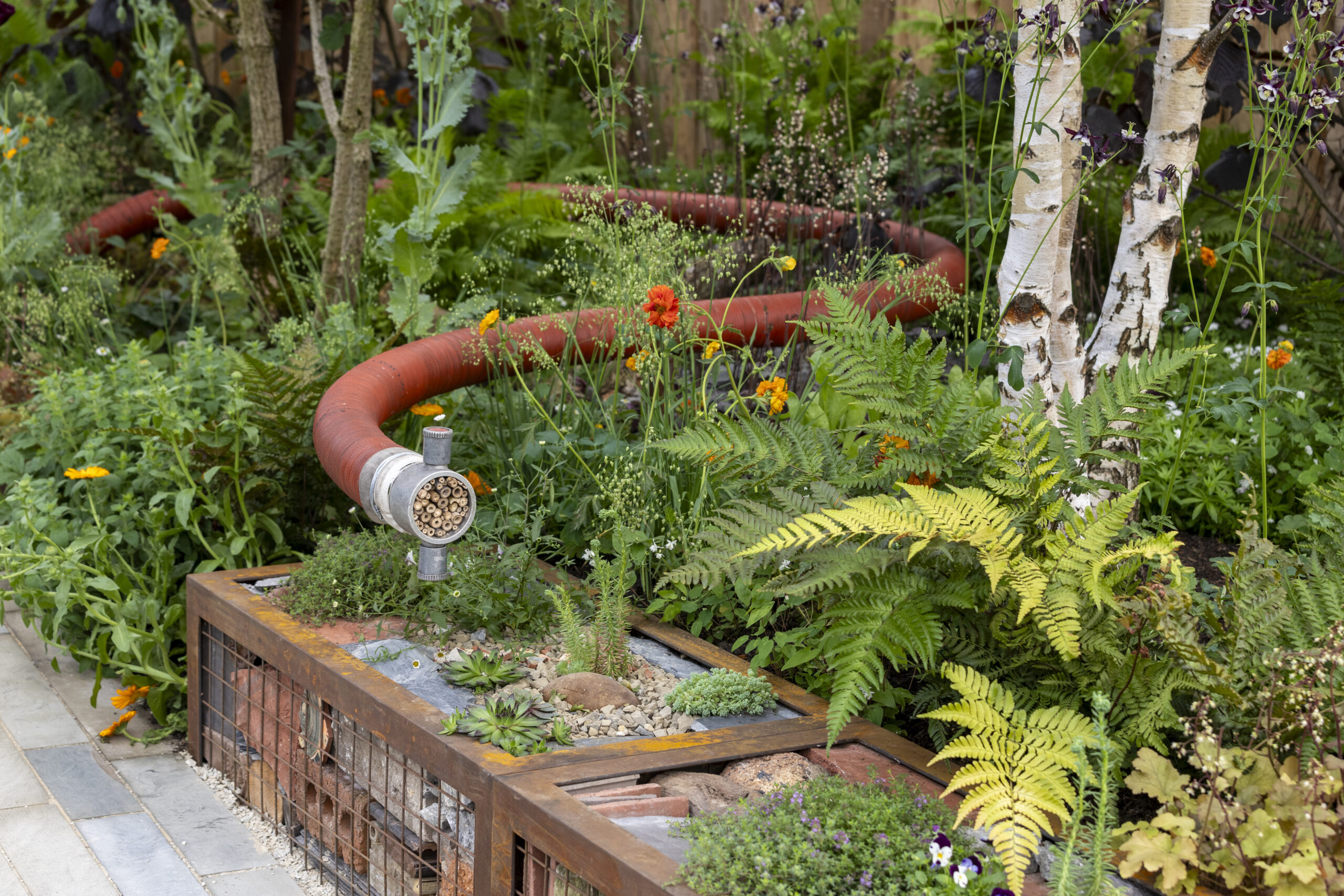 The Pulp Friction – Growing Skills Garden at RHS Chelsea Flower Show 2024. Designed by Will Dutch and Tin-Tin Azure-Marxen. Sponsored by Project Giving Back. All About Plants.