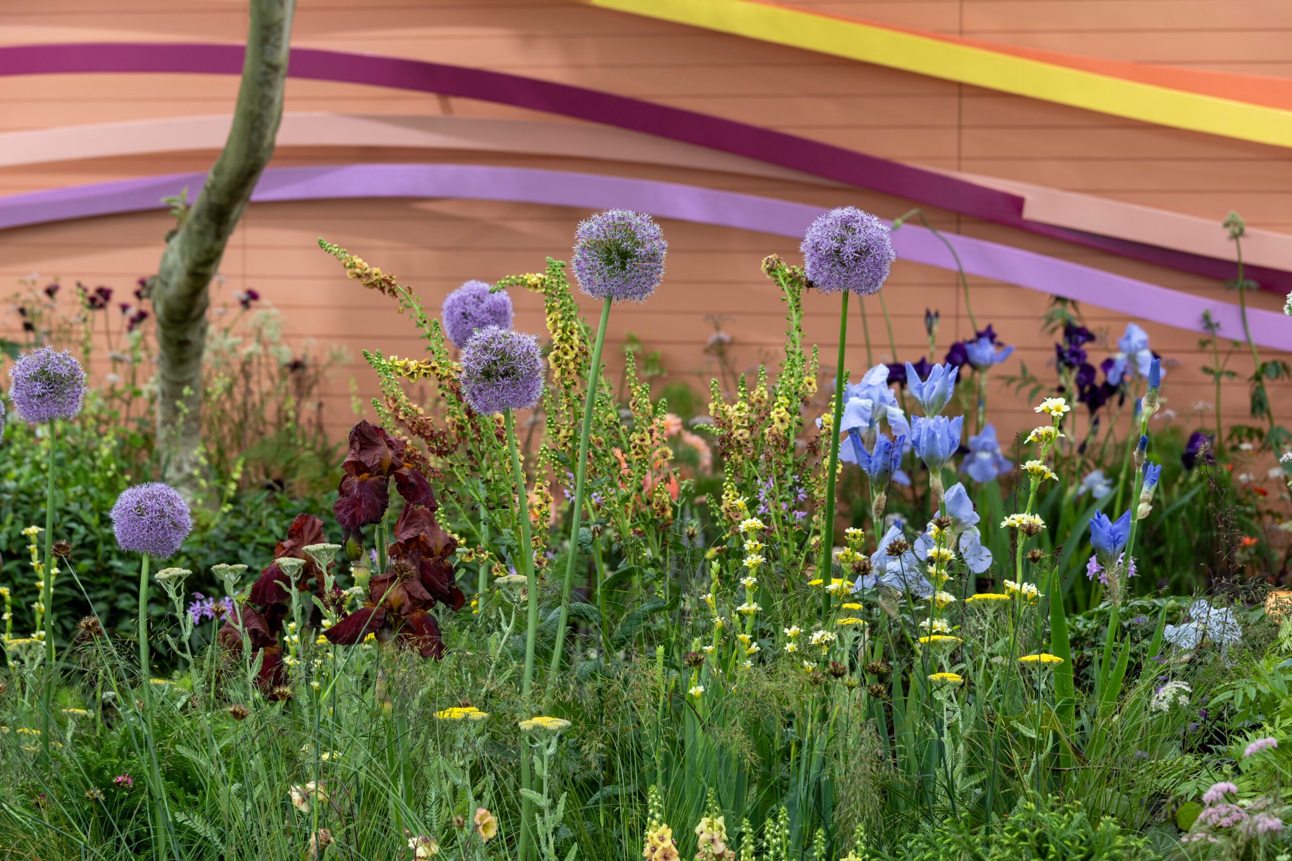 The Panathlon Joy Garden at RHS Chelsea Flower Show. Designed by Penelope Walker. Sponsored by Project Giving Back. In support of The . All About Plants Garden.