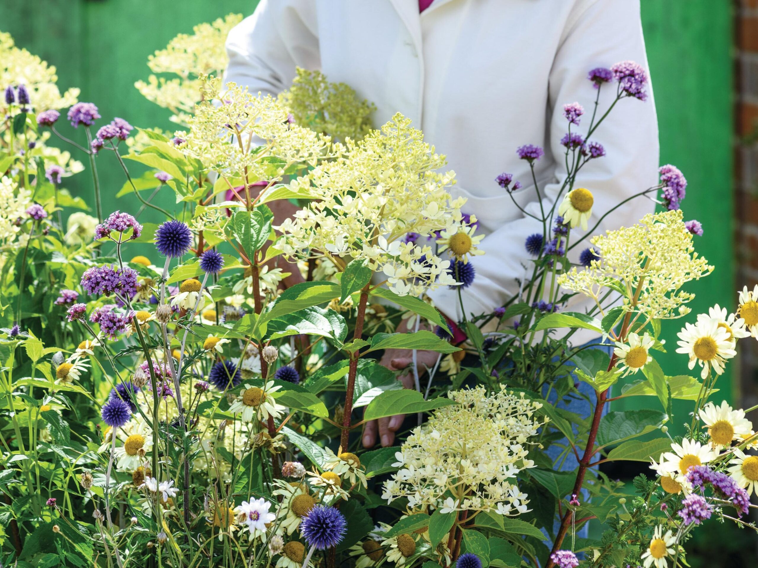 A container display in a steel bathtub using Hydrangea paniculata ‘Phantom’
