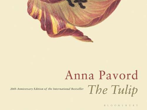 The Tulip by Anna Pavord