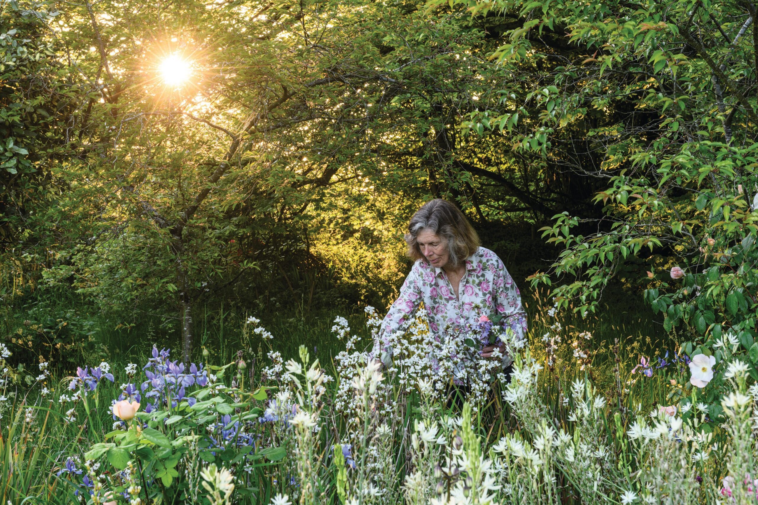 Charlie Ryrie's garden
