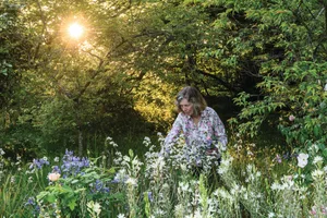 Charlie Ryrie's garden Charlie Ryrie's garden