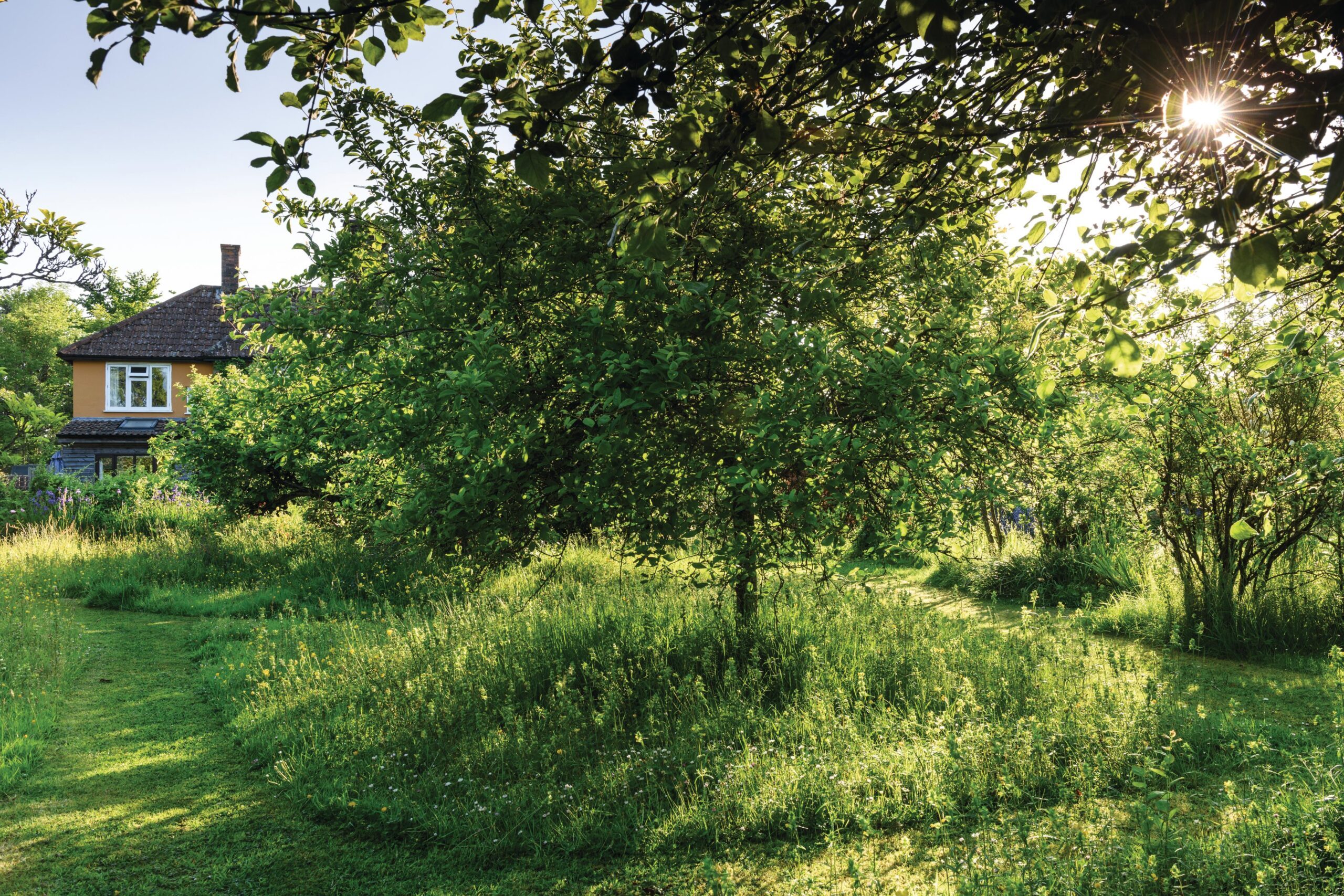 Charlie Ryrie's garden