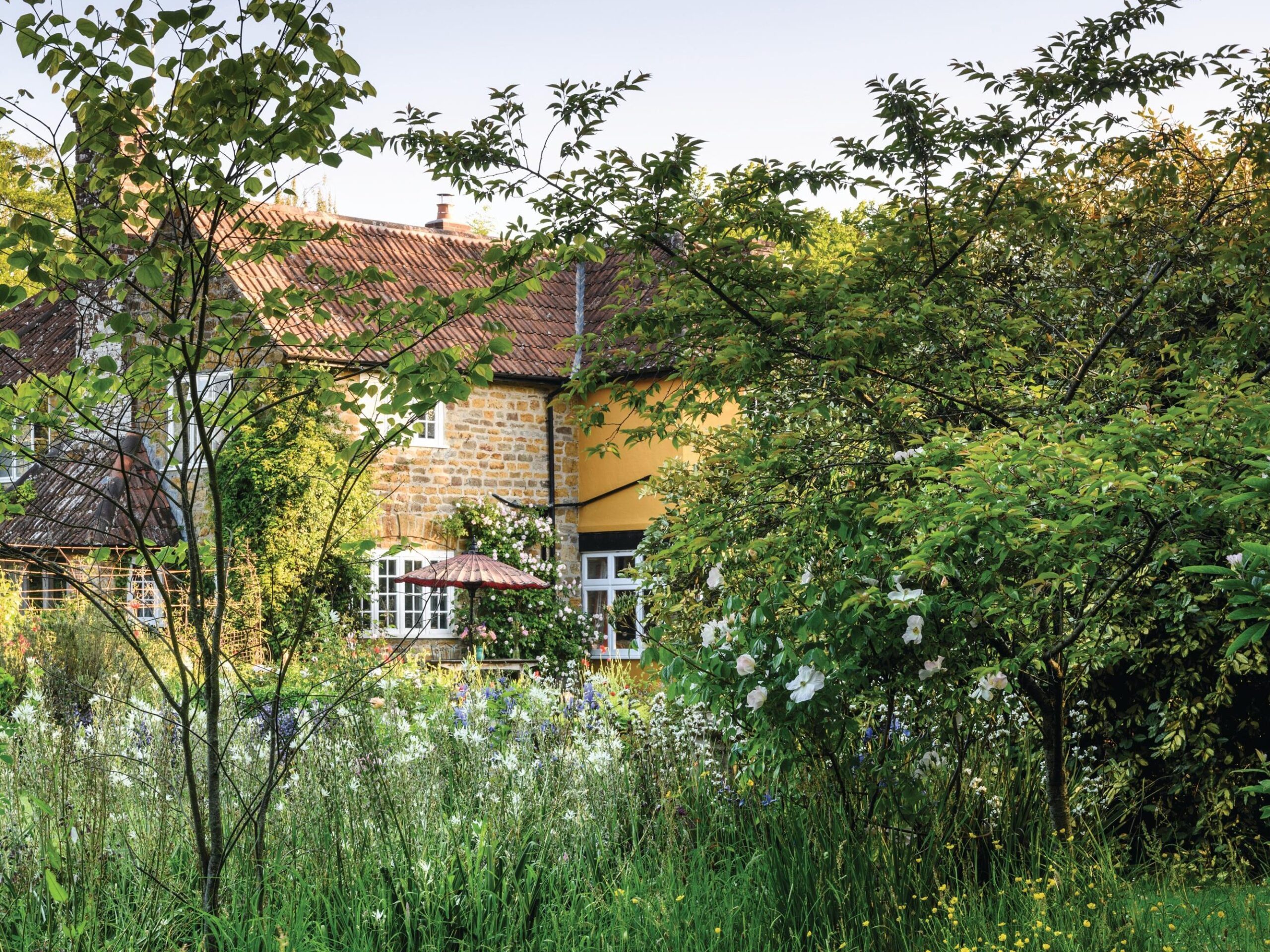 Charlie Ryrie's garden