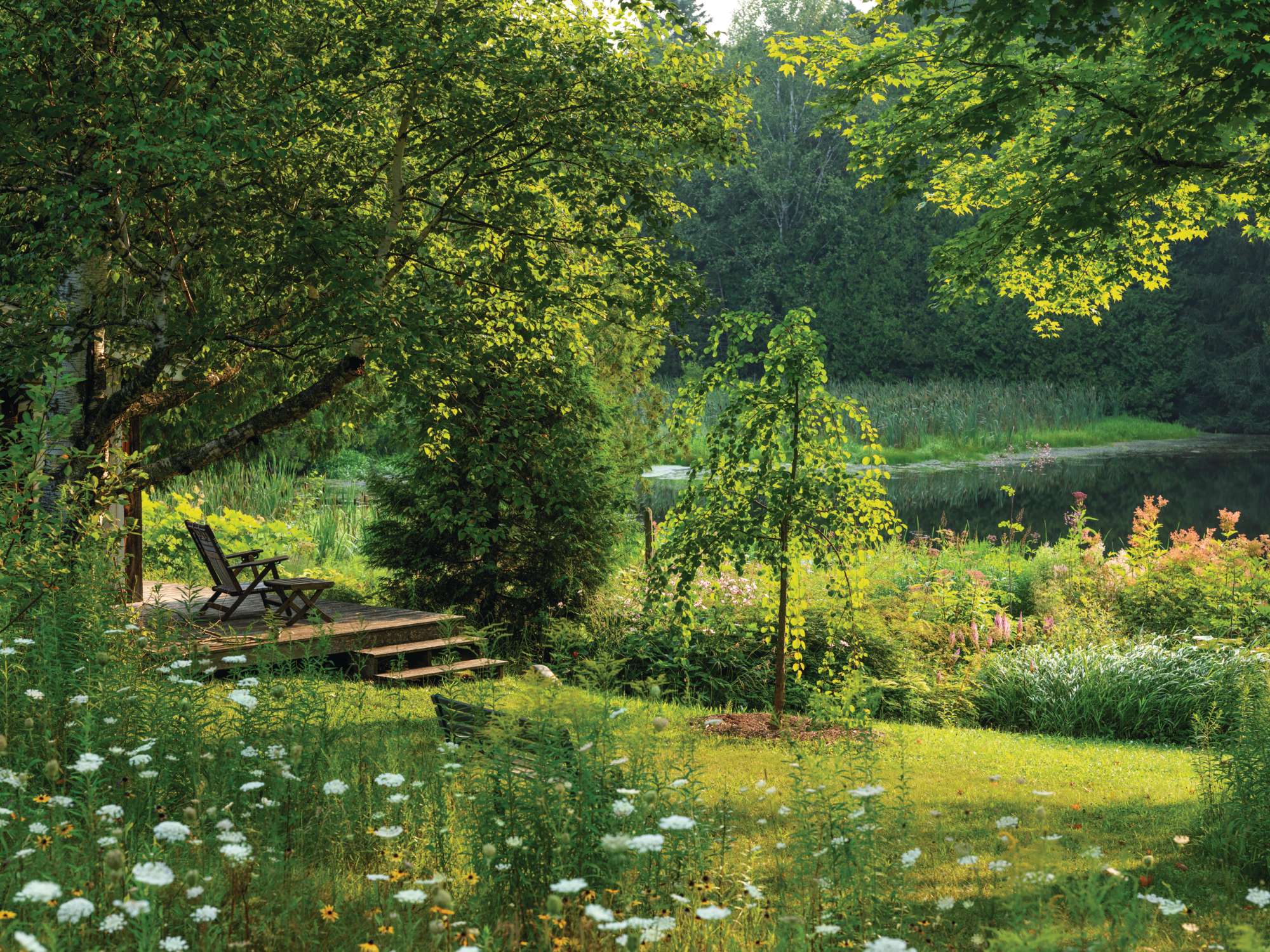 Tony Spencer's pond garden