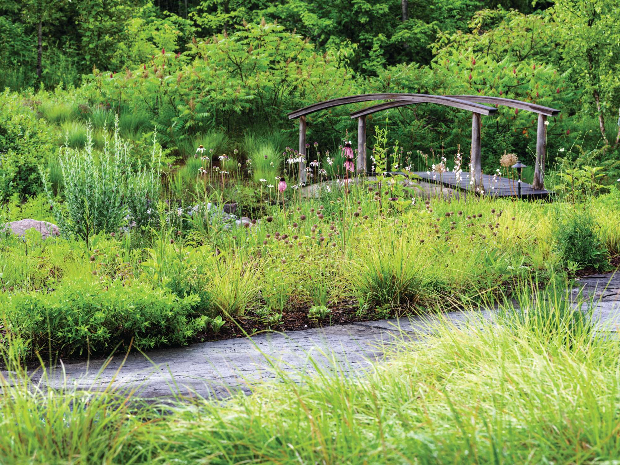 Northern Sand Garden in Tony Spencer's garden