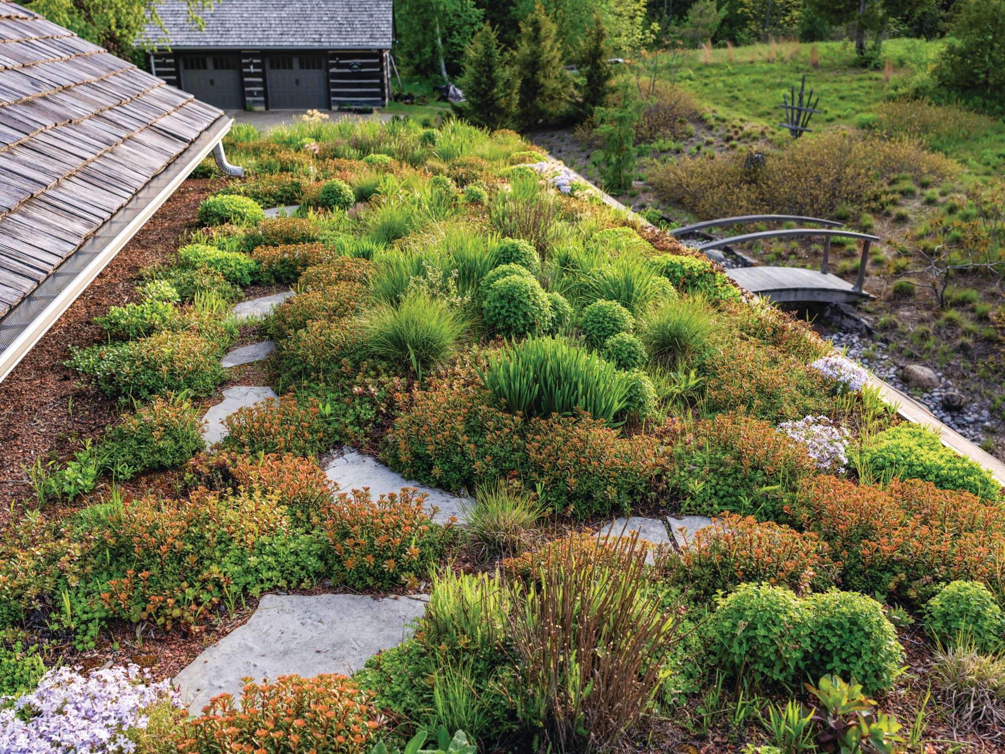 Tony Spencer's green roof in spring