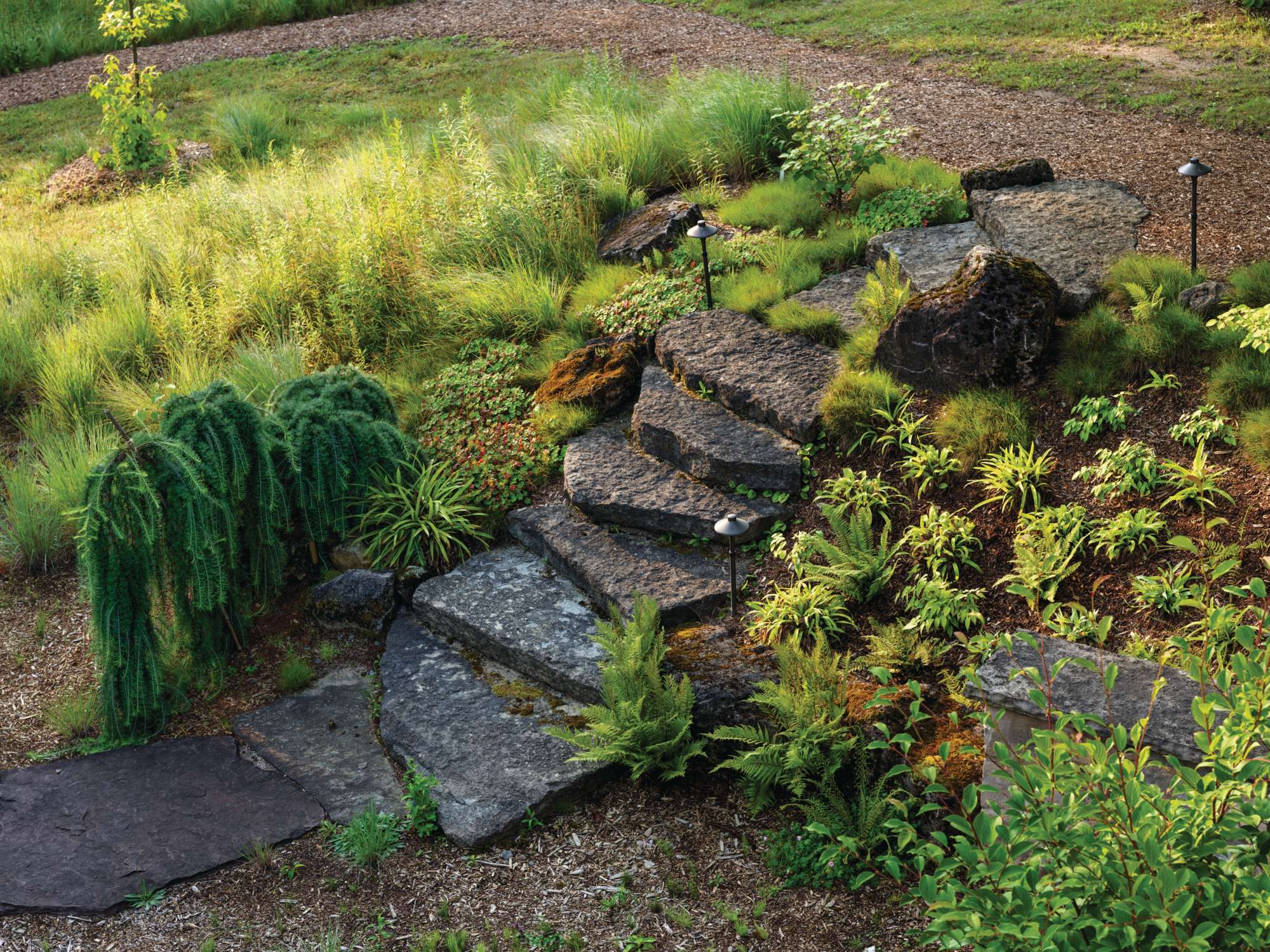 Limestone steps in Tony Spencer's garden